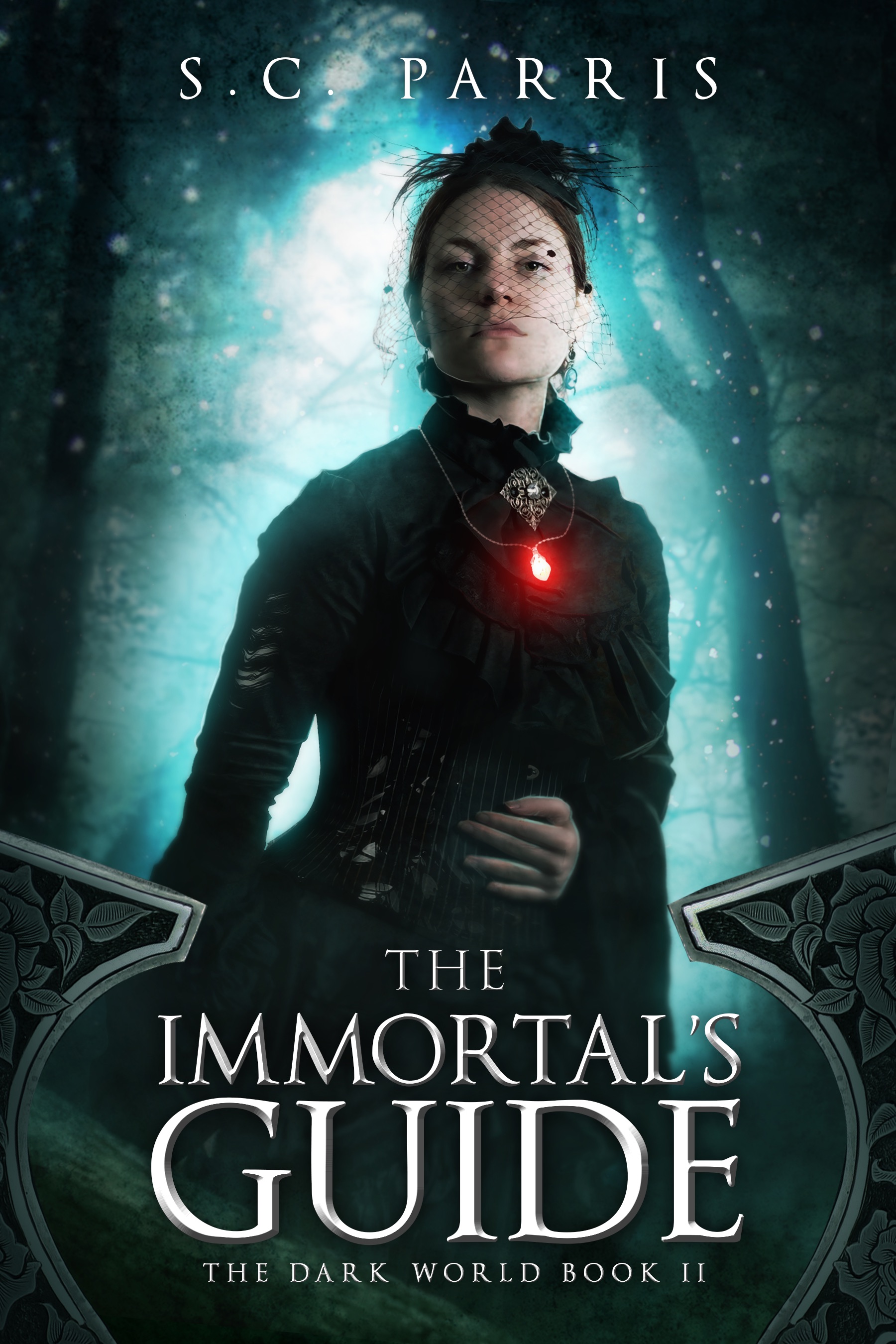 The Immortal's Guide: Book 2