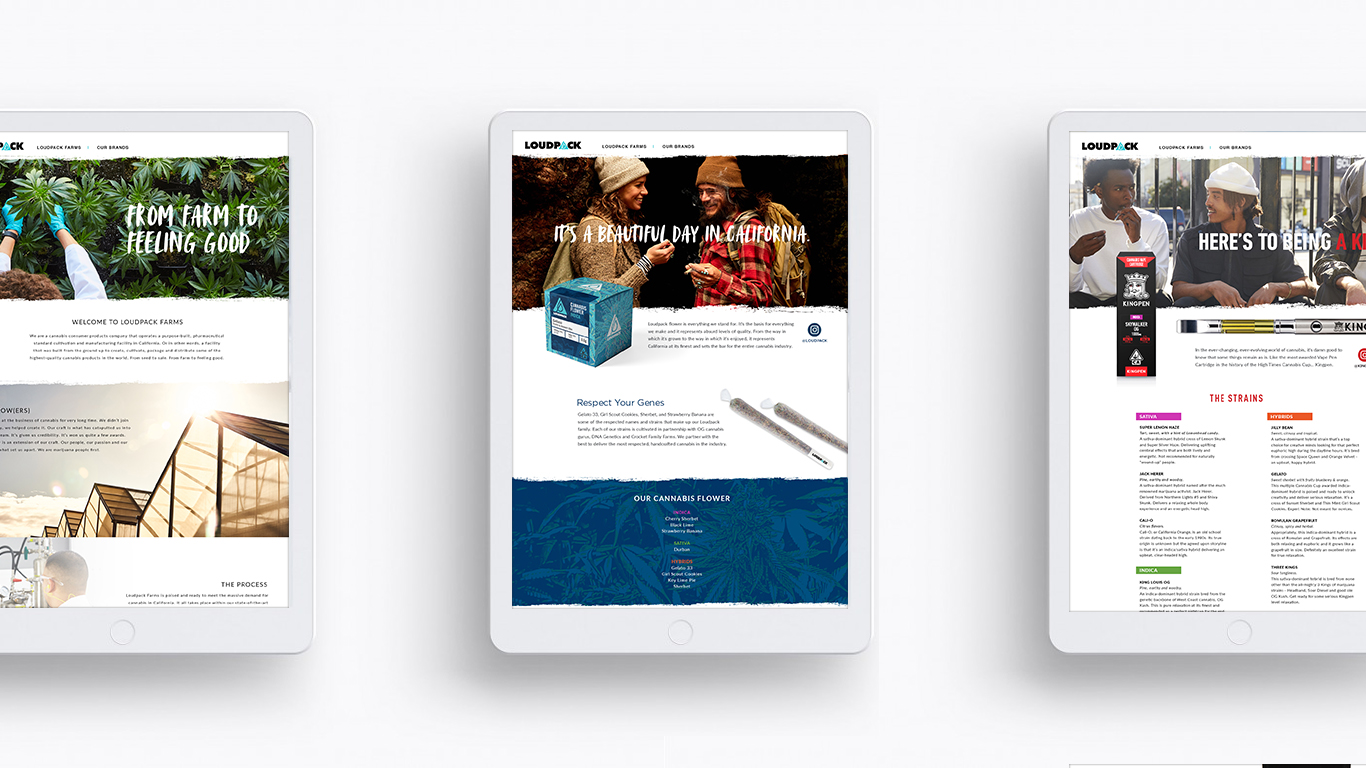 Loudpack Website