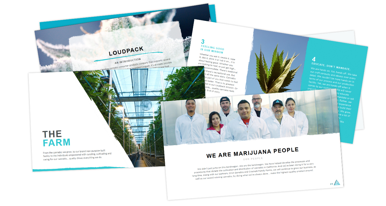 Loudpack Brand Book