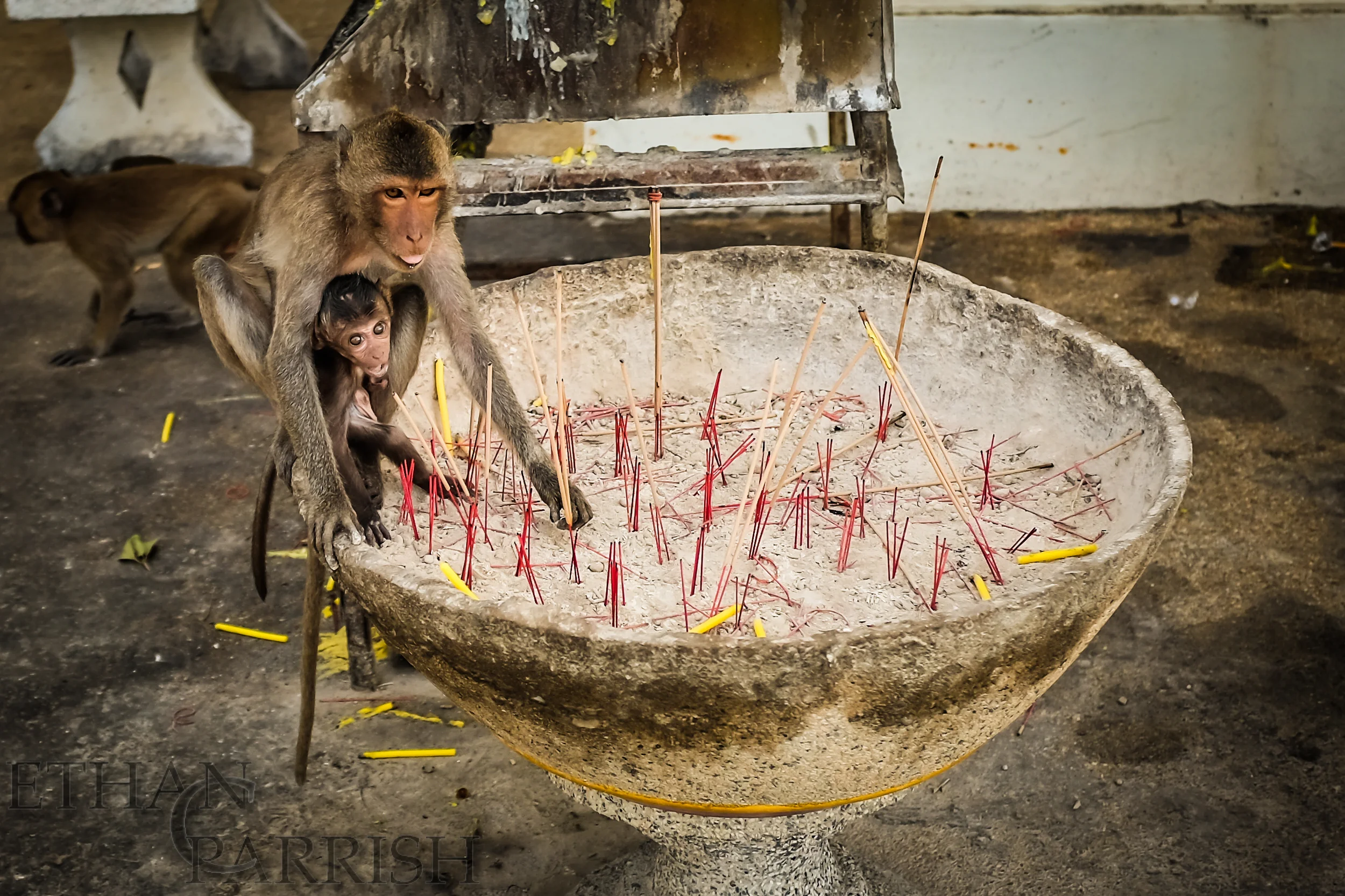 A mother and her baby sift through the Monks' incense stand outside the temple on top of Monkey Mountain. 