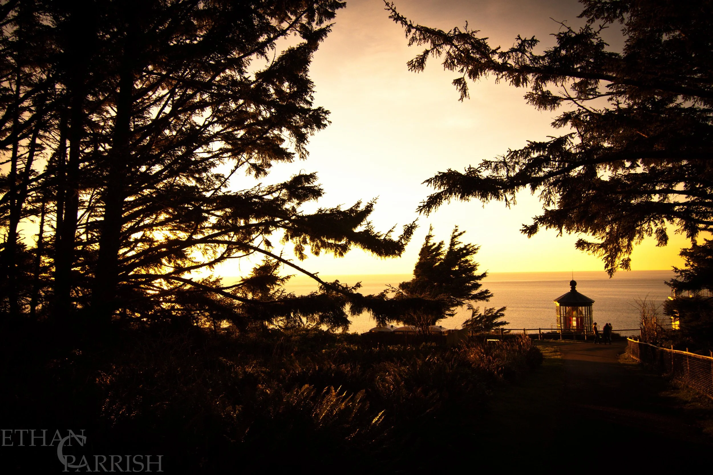 ECP_IMG_4626--.jpg