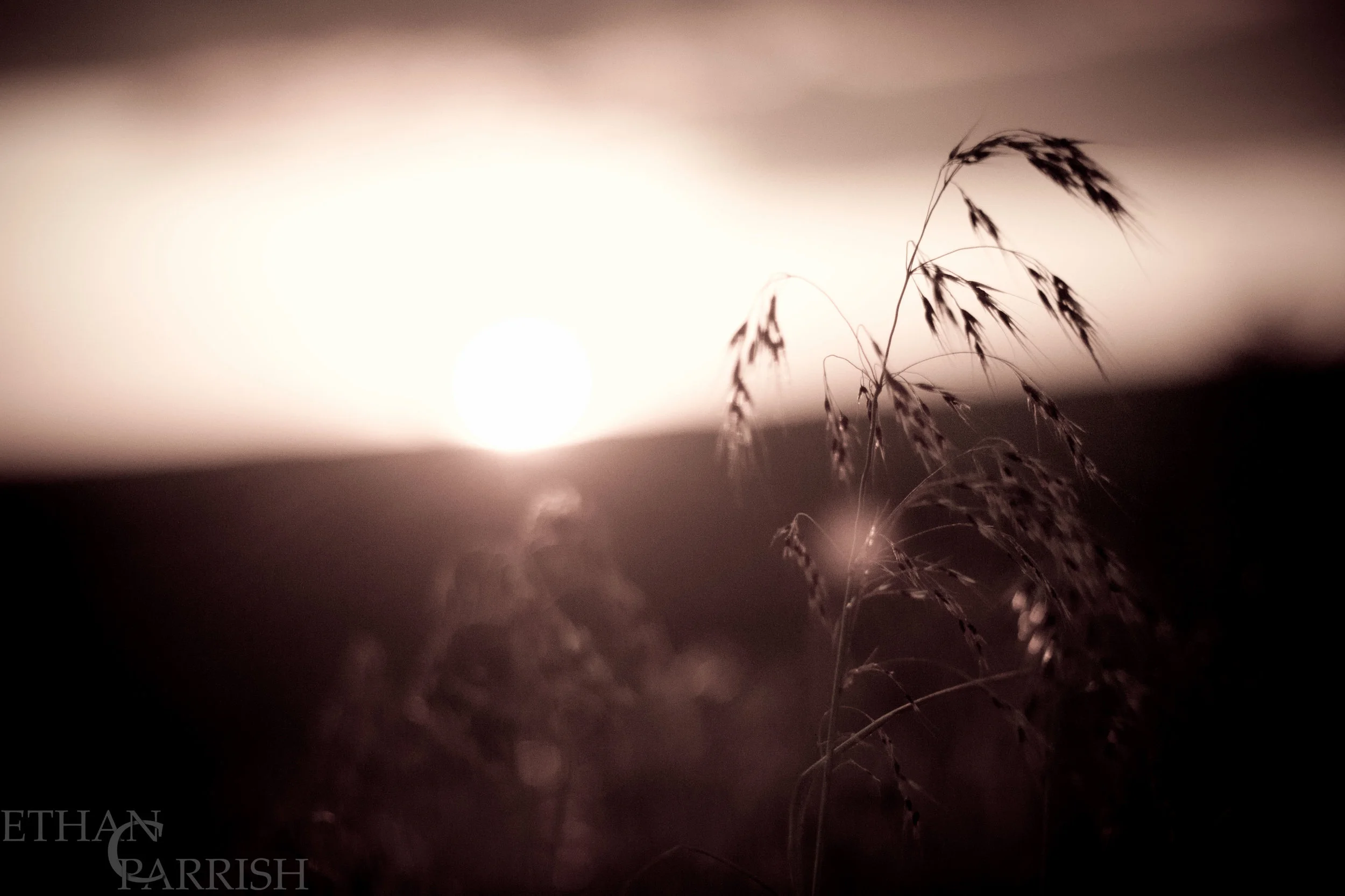 ECP_IMG_0598--.jpg