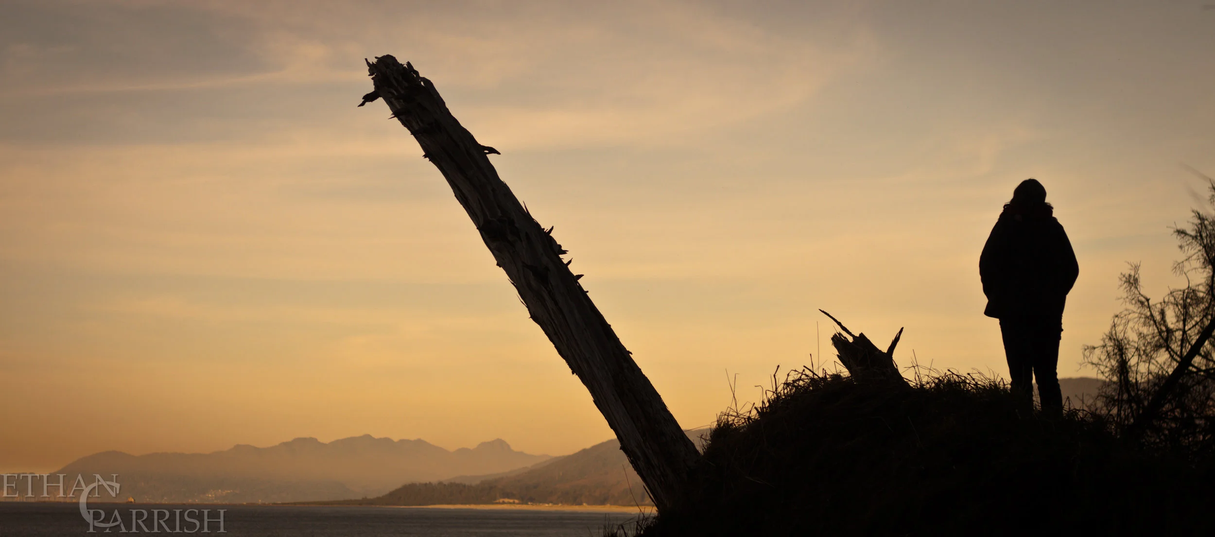 PNW Dreamin'