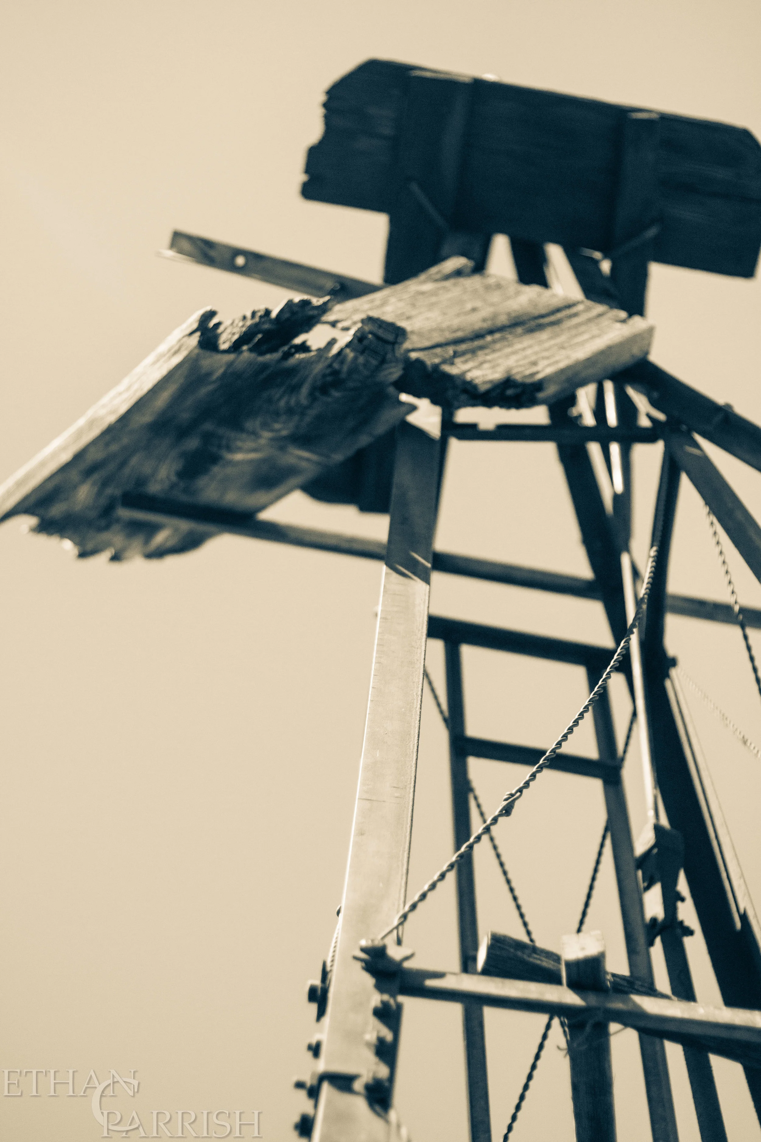 ECP_IMG_9573--.jpg