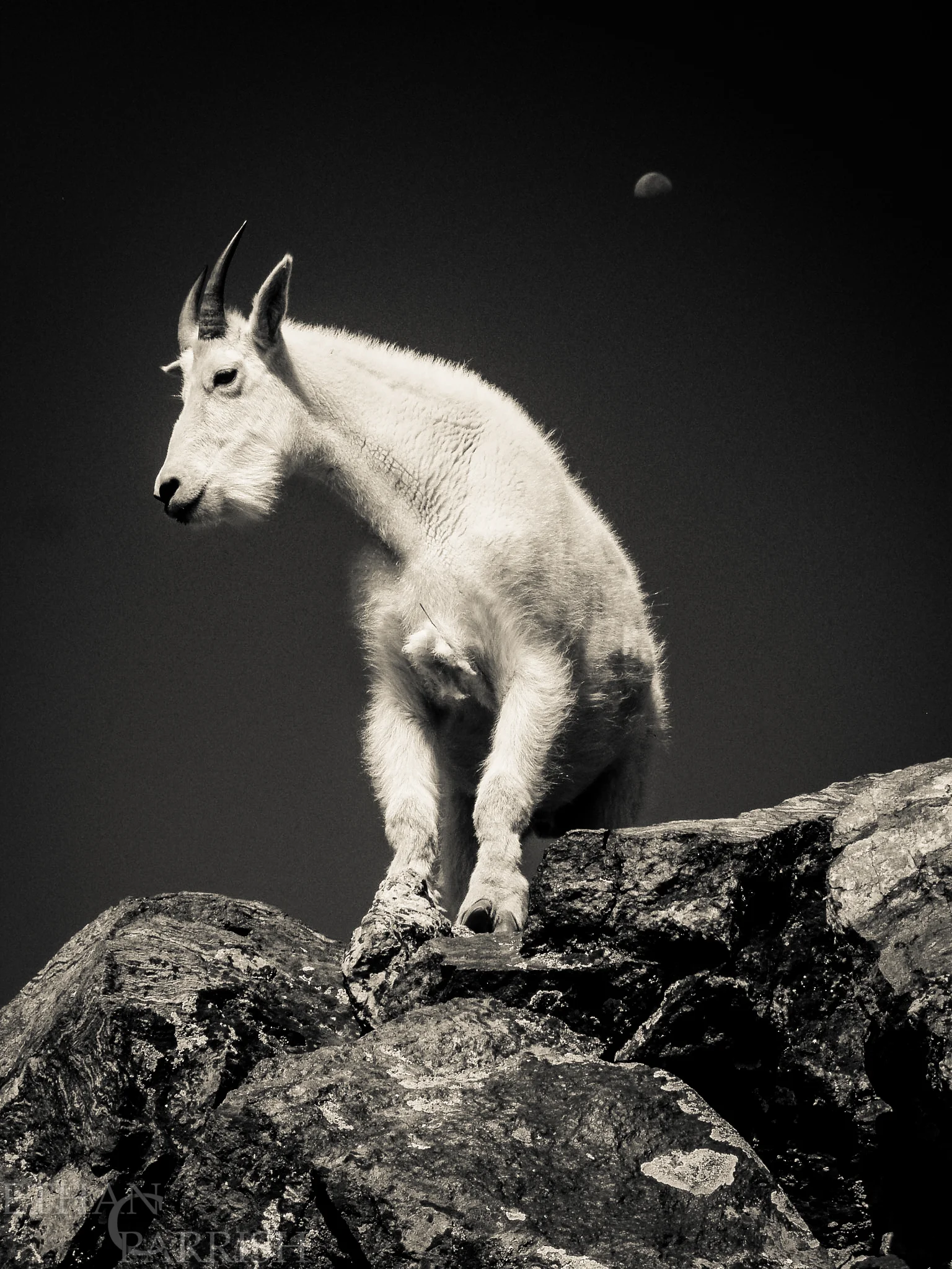 This is my good side