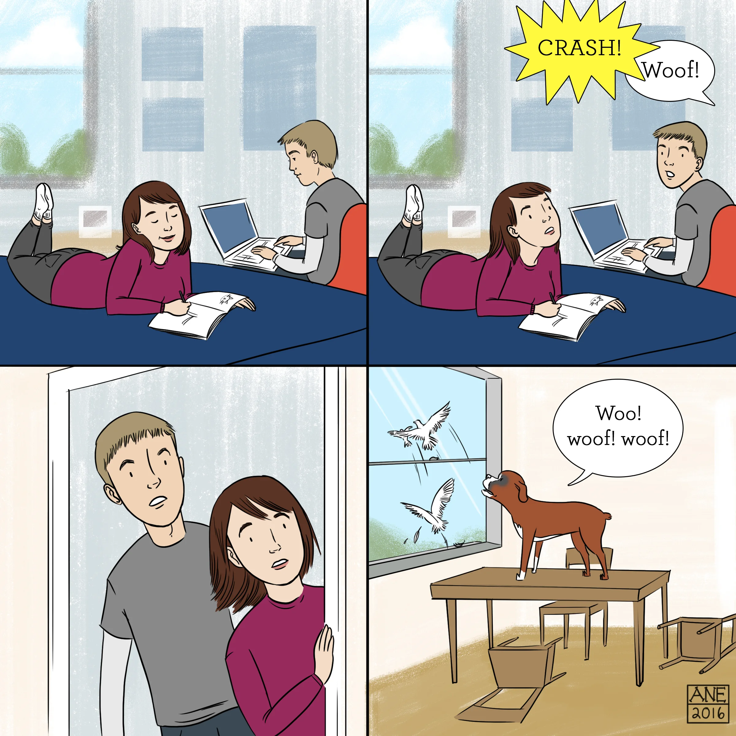 11.jpg