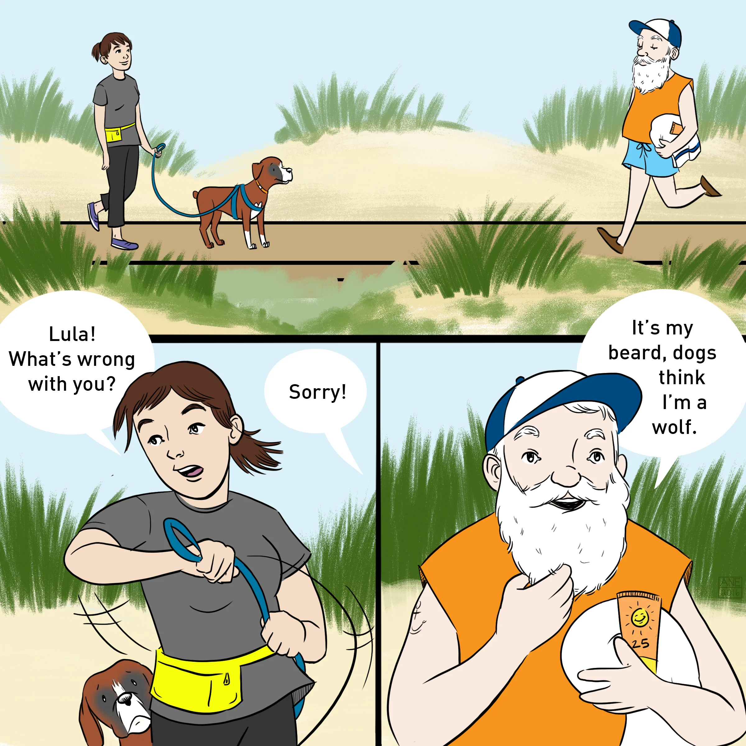 31.jpg