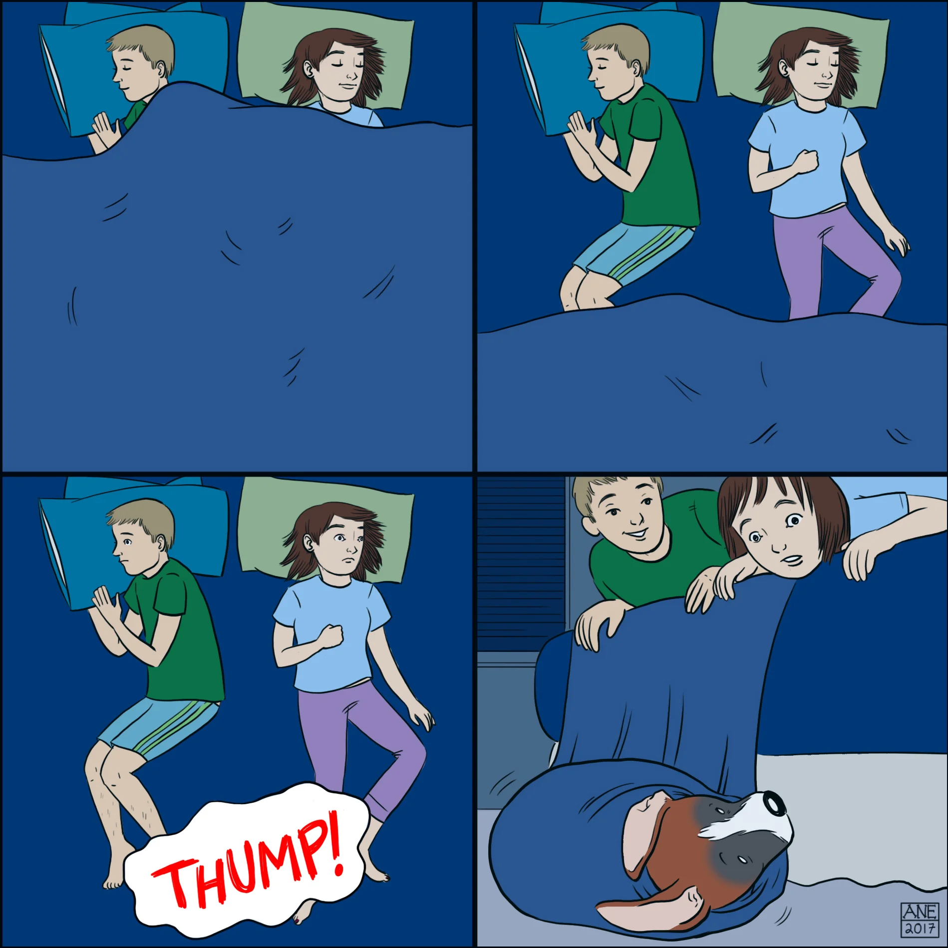 41.jpg
