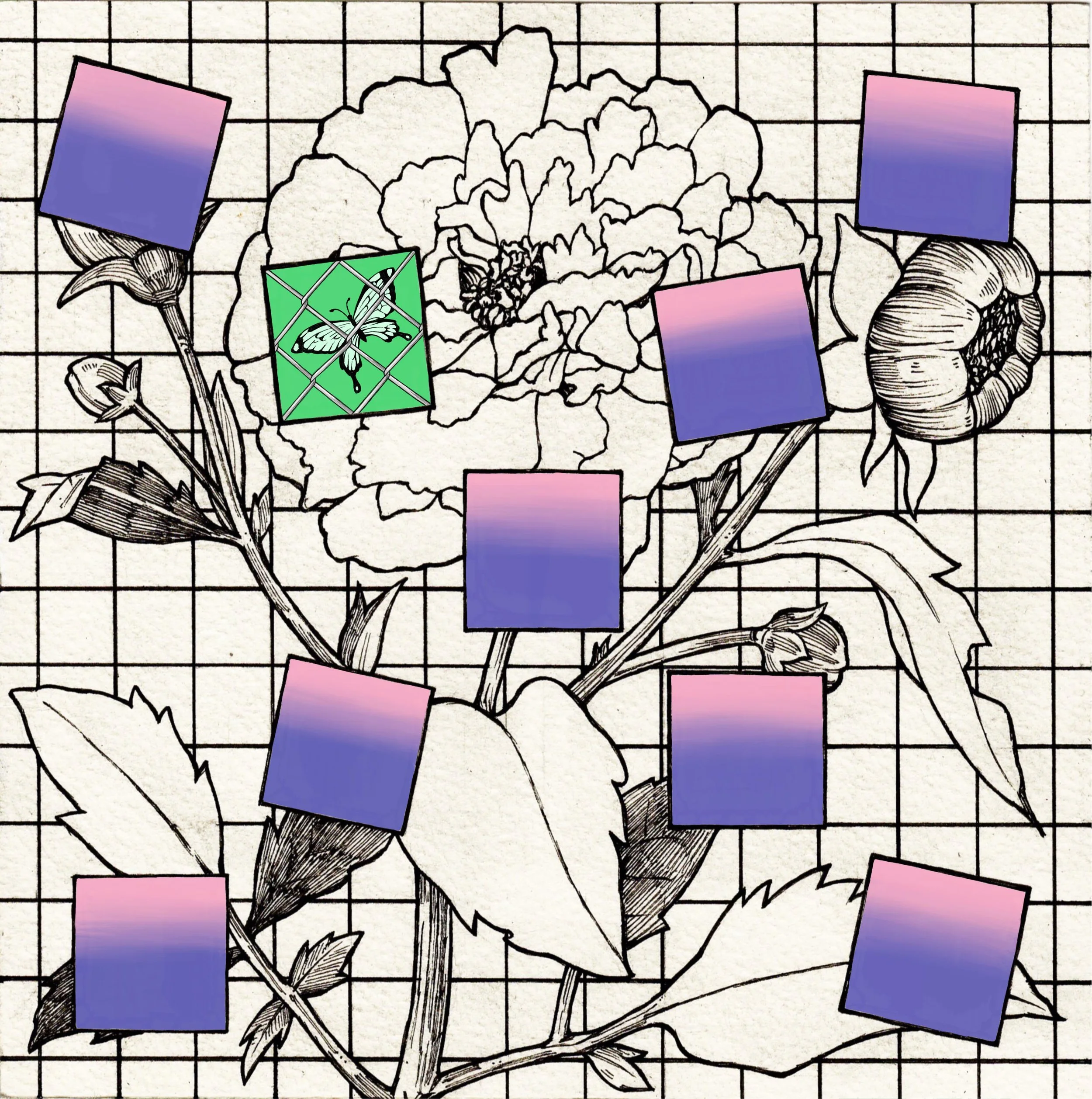 flower.jpg