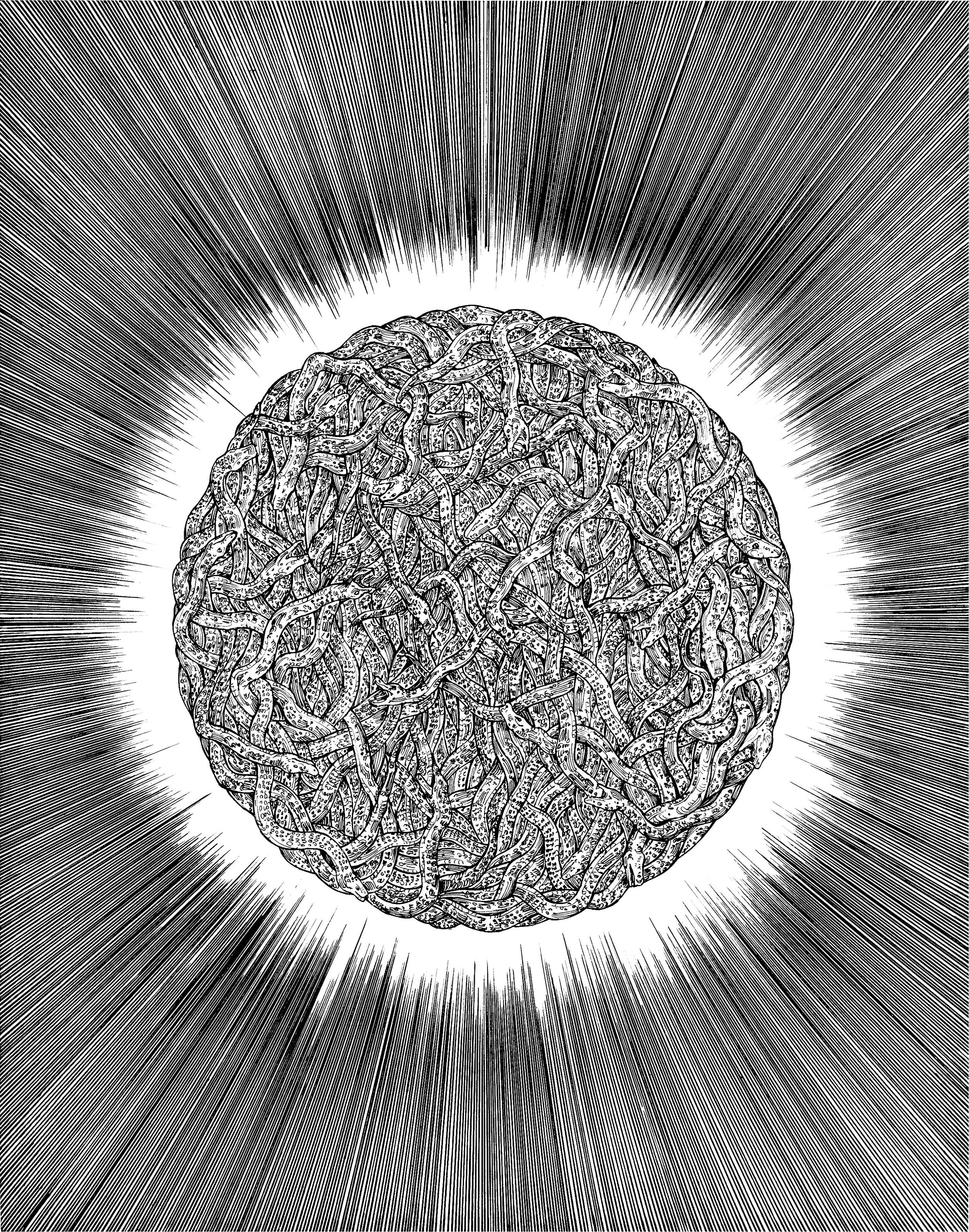 Thousand Snakes covering The Sun