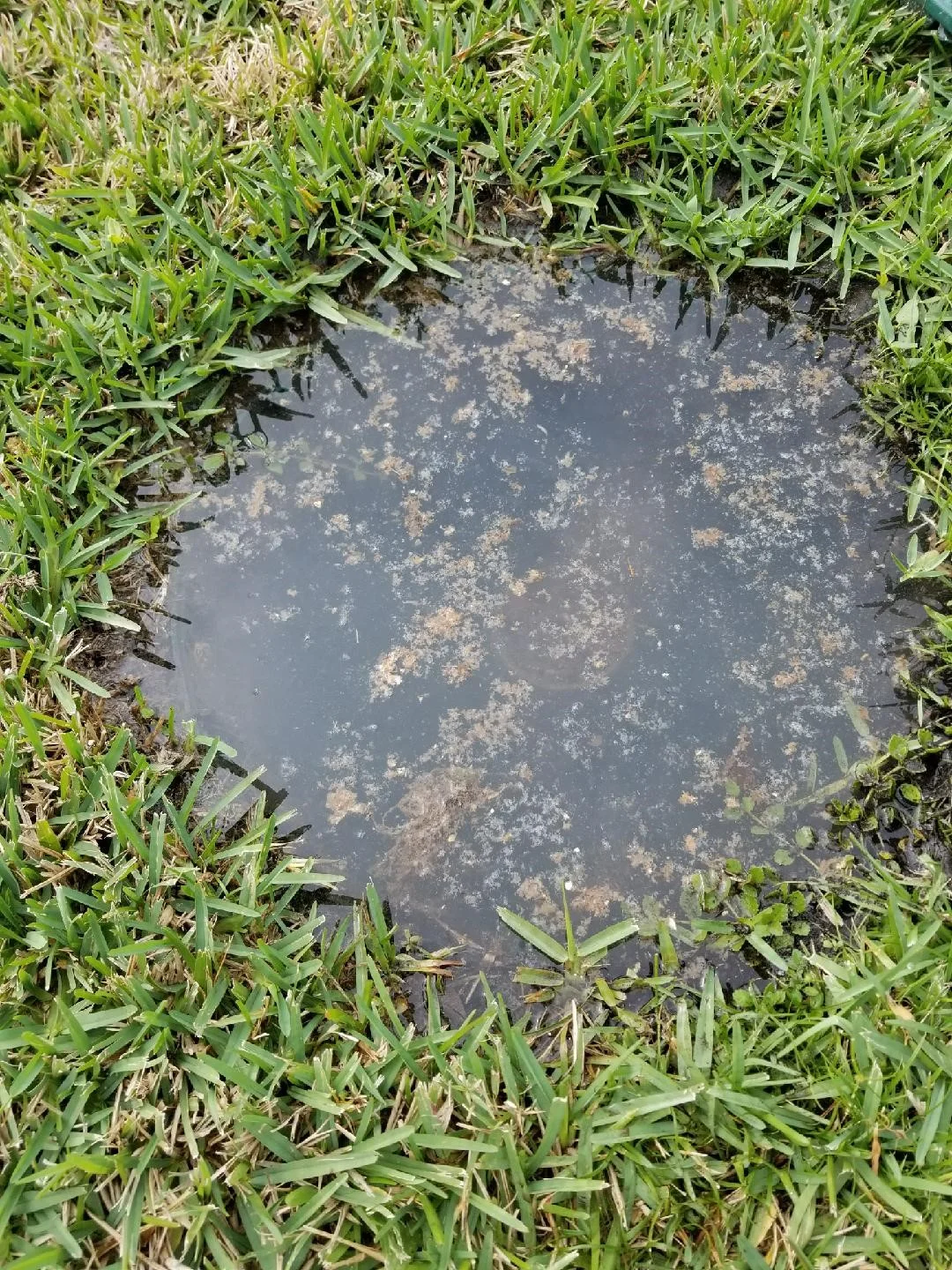 full septic 2.jpg