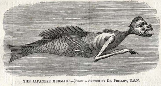 Japanese Mermaid Illustration