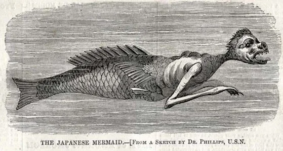Japanese-Mermaid-blog.jpg