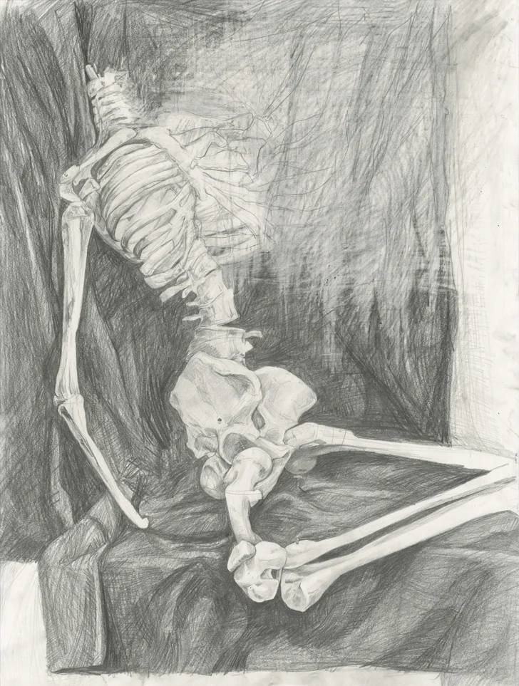 from Drawing 1, Skeleton Drawing with focal point University of Pennsylvania