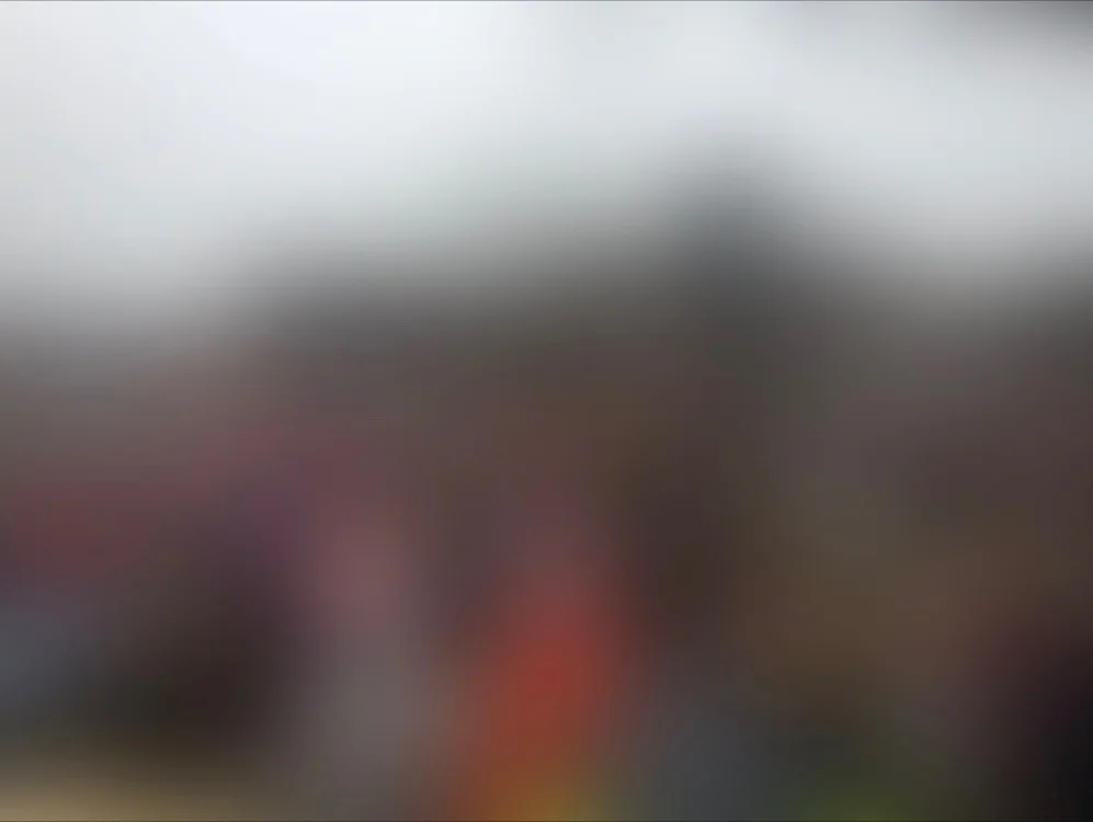 Untitled (women's march 1), Archival Inkjet print from broken iPhone camera, dimensions variable, 2017