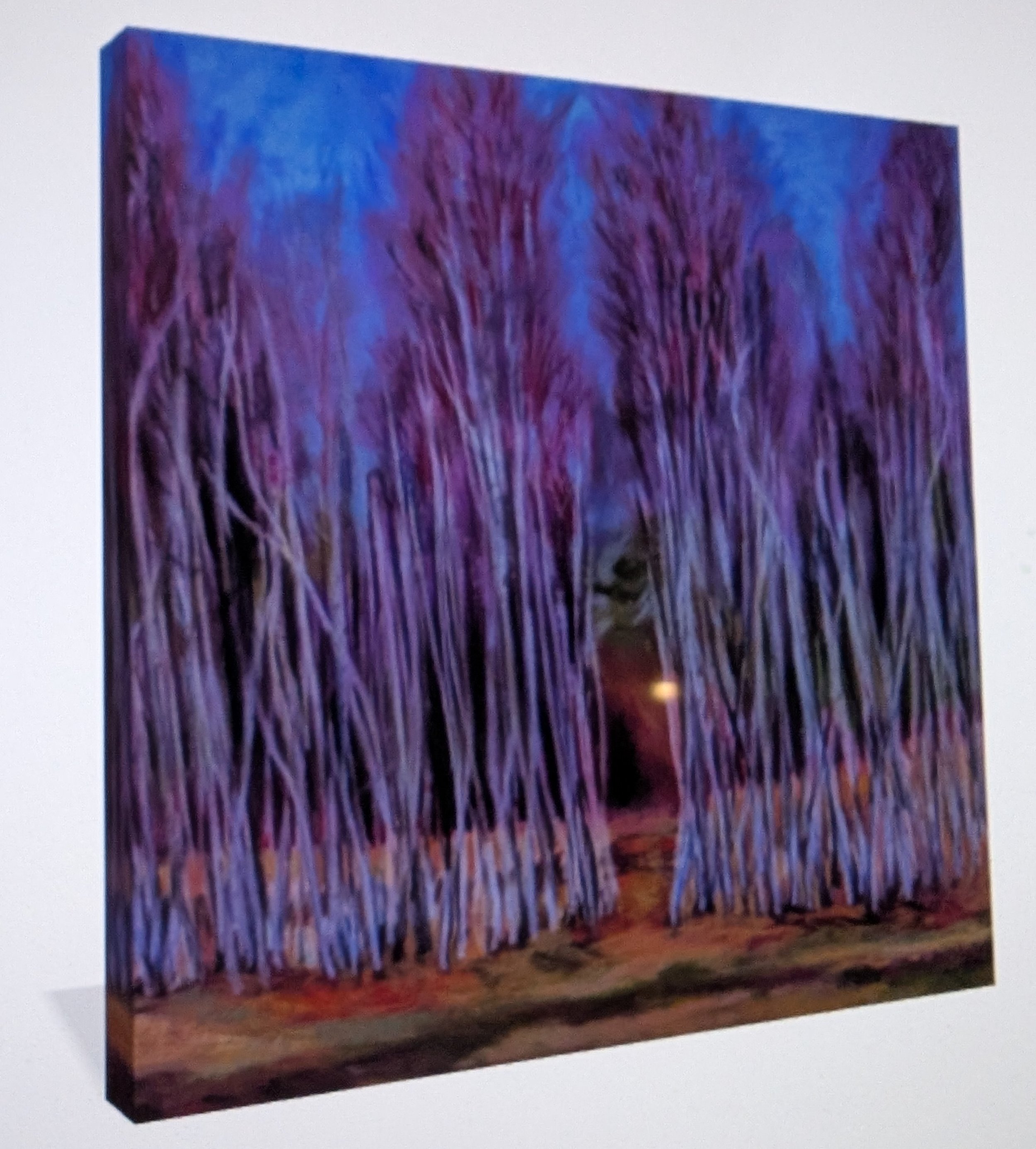 New Birches on Canvas.jpg