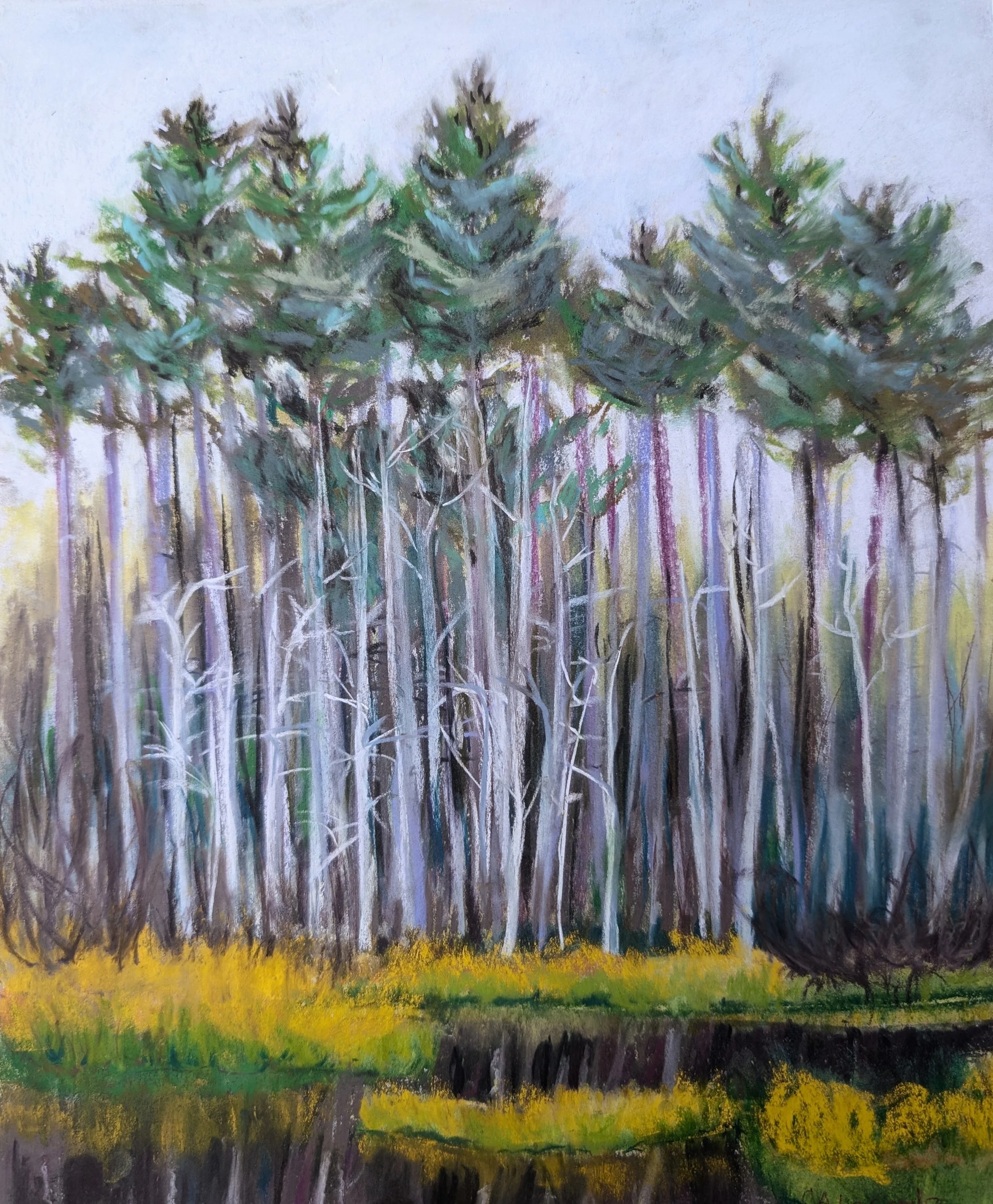 Vassalboro_Bog_7.jpg