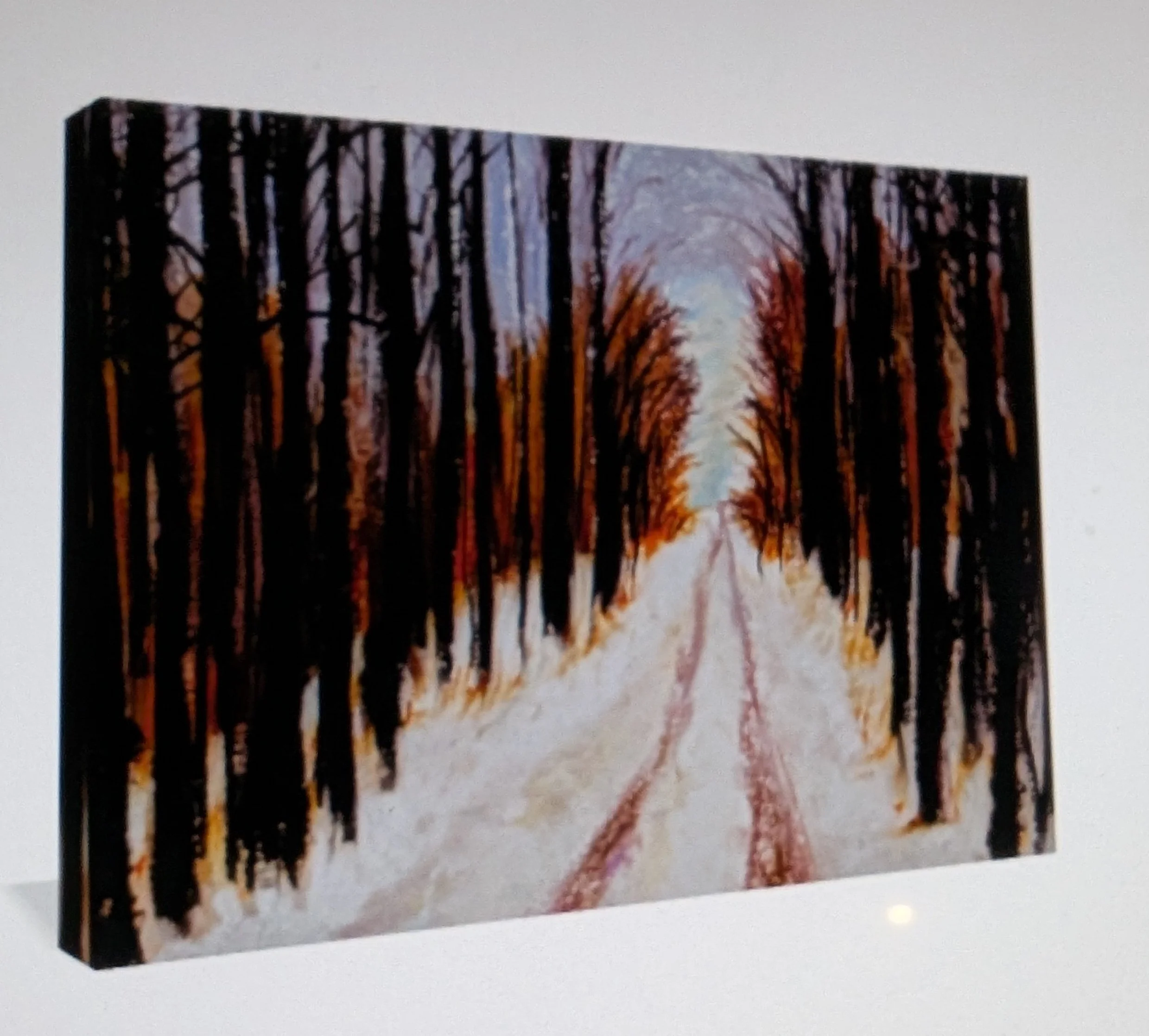 Private Drive Fall into Winter canvas.jpg