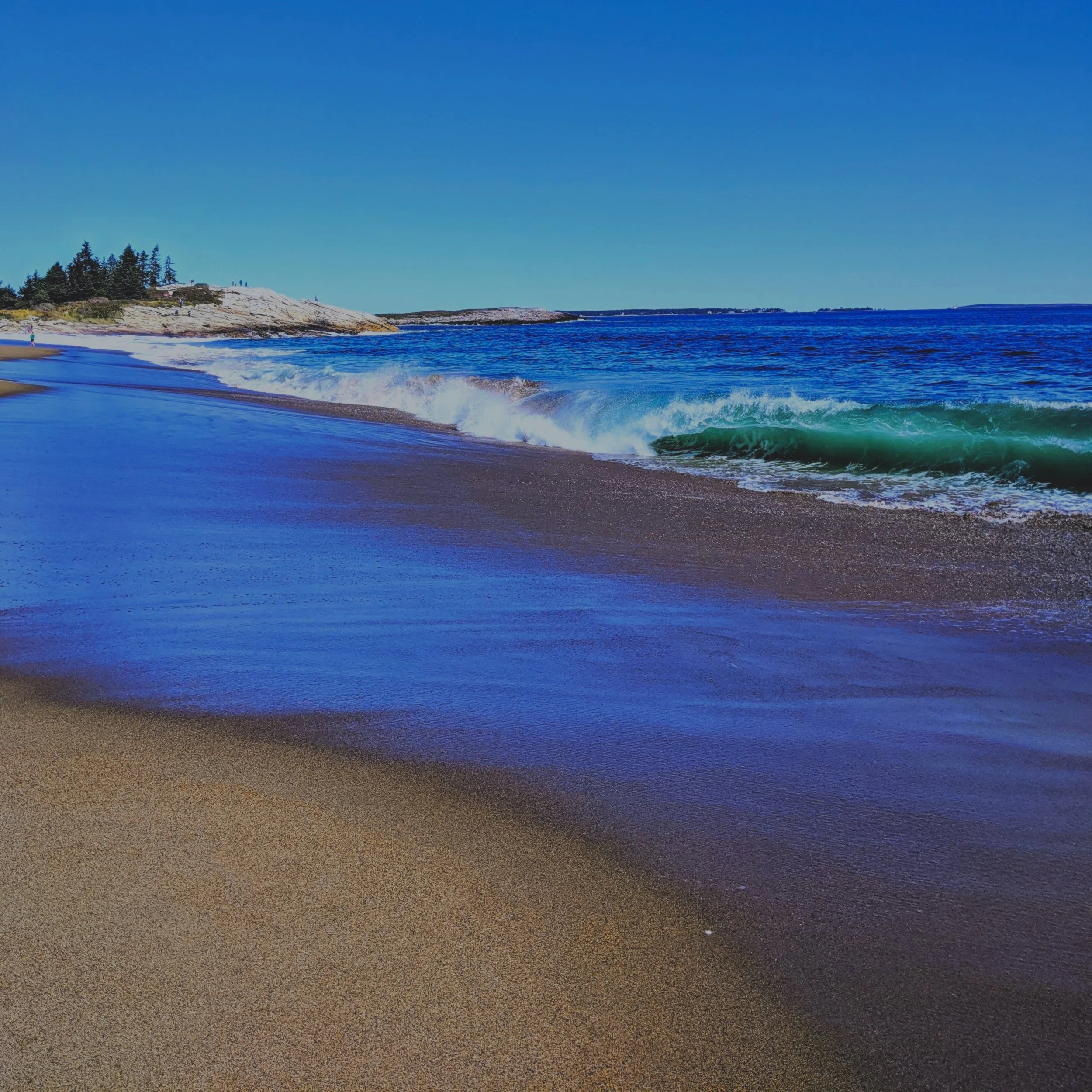 ReedSP_ME_ Green_ Wave.jpg