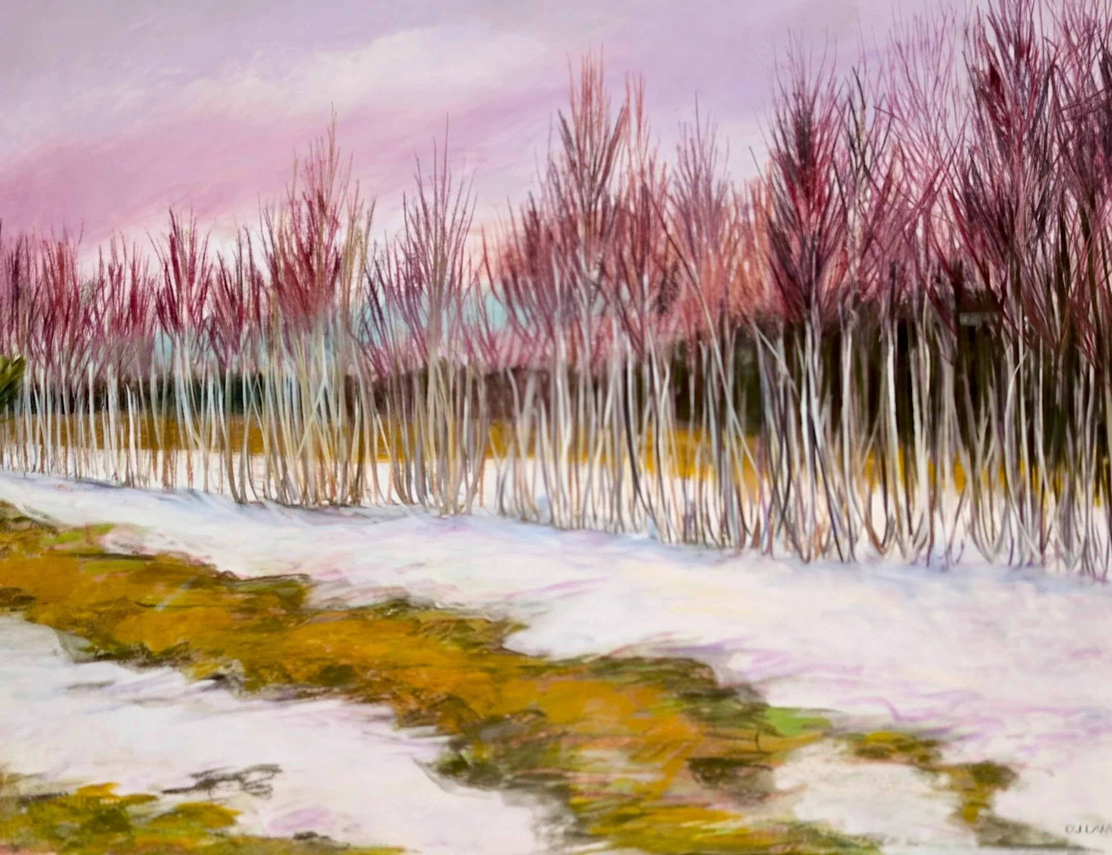 New Birches China 2.jpg