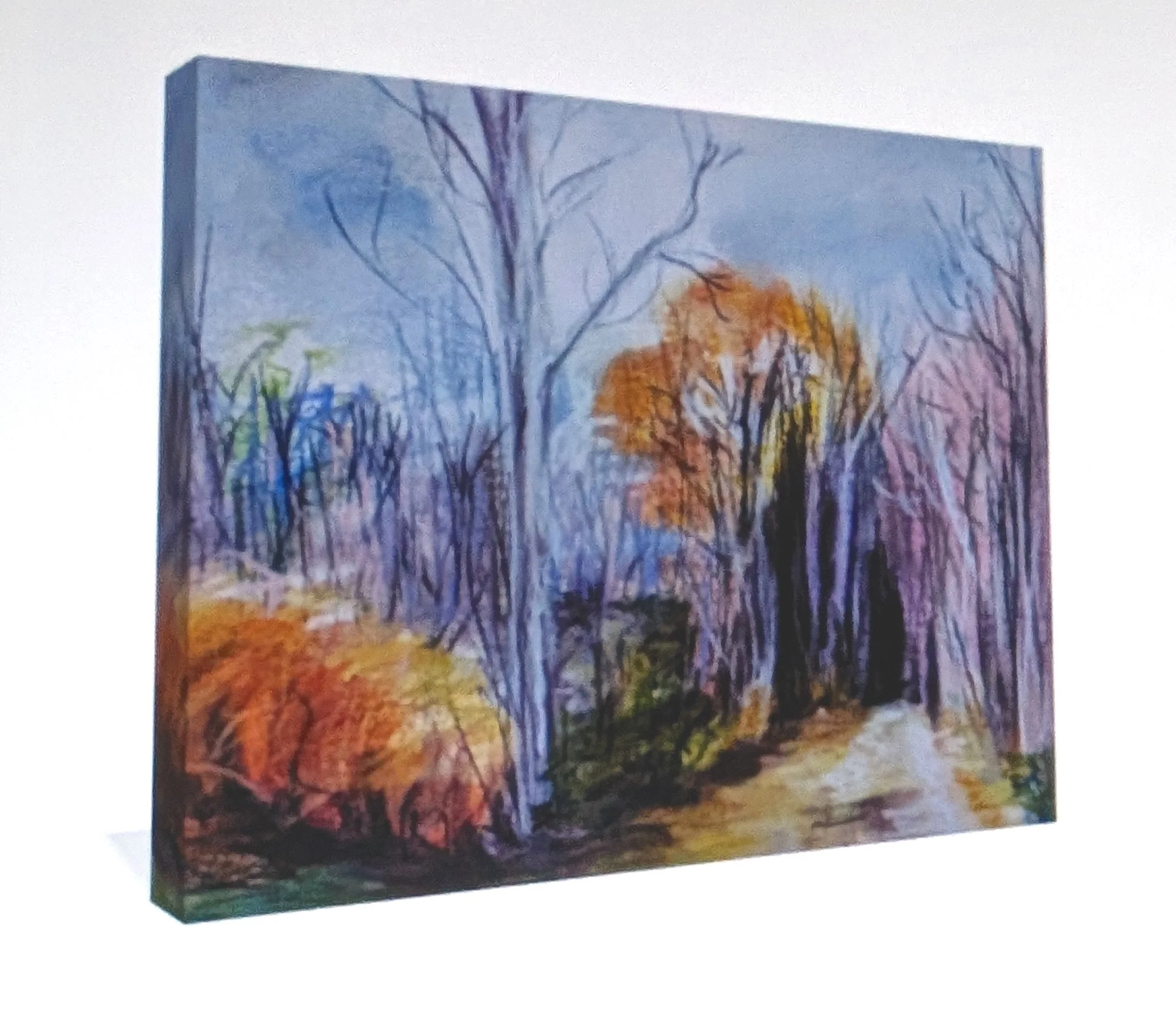 ken riv trail 11x14 can side.jpg