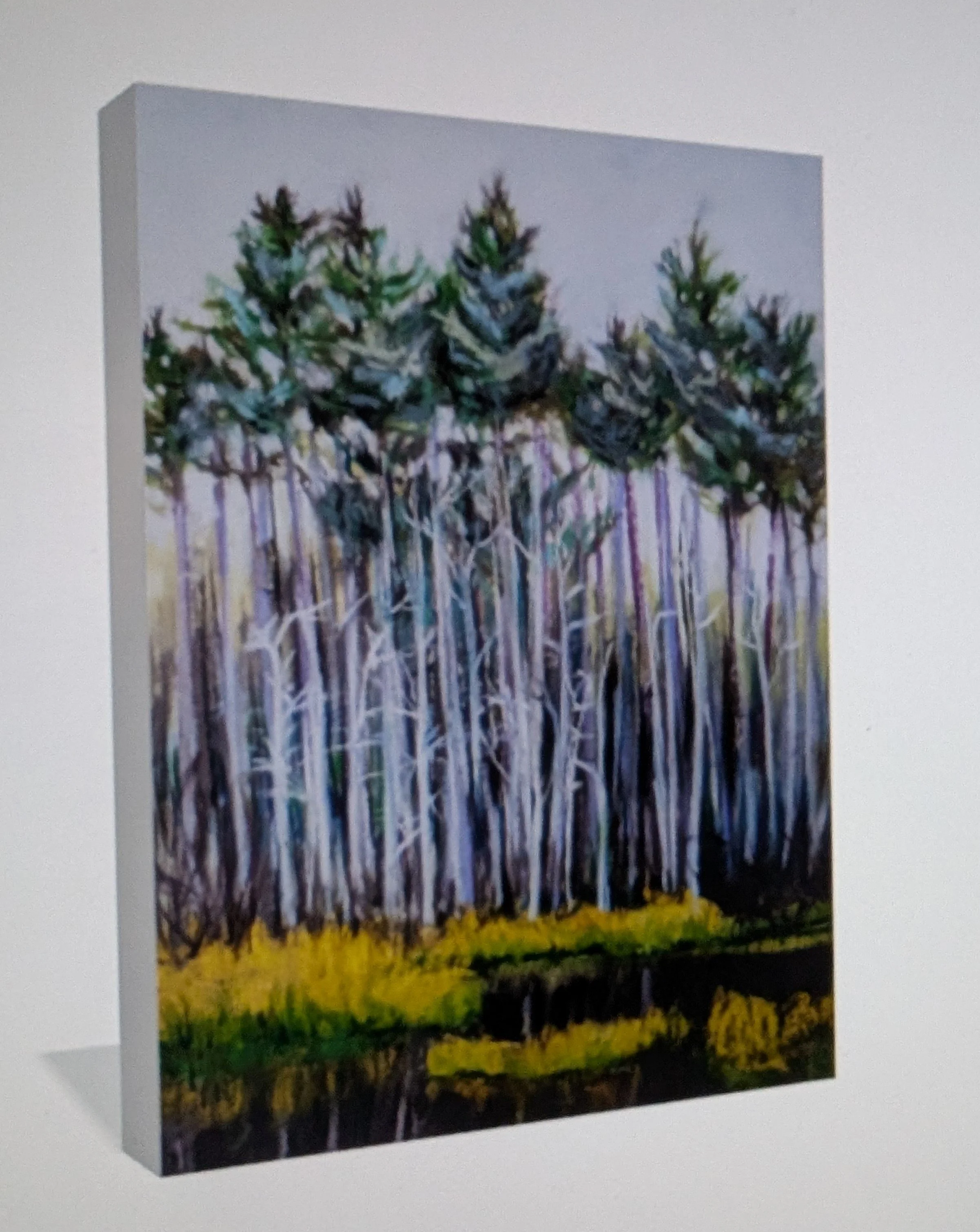 VB canvas side 11.14.jpg