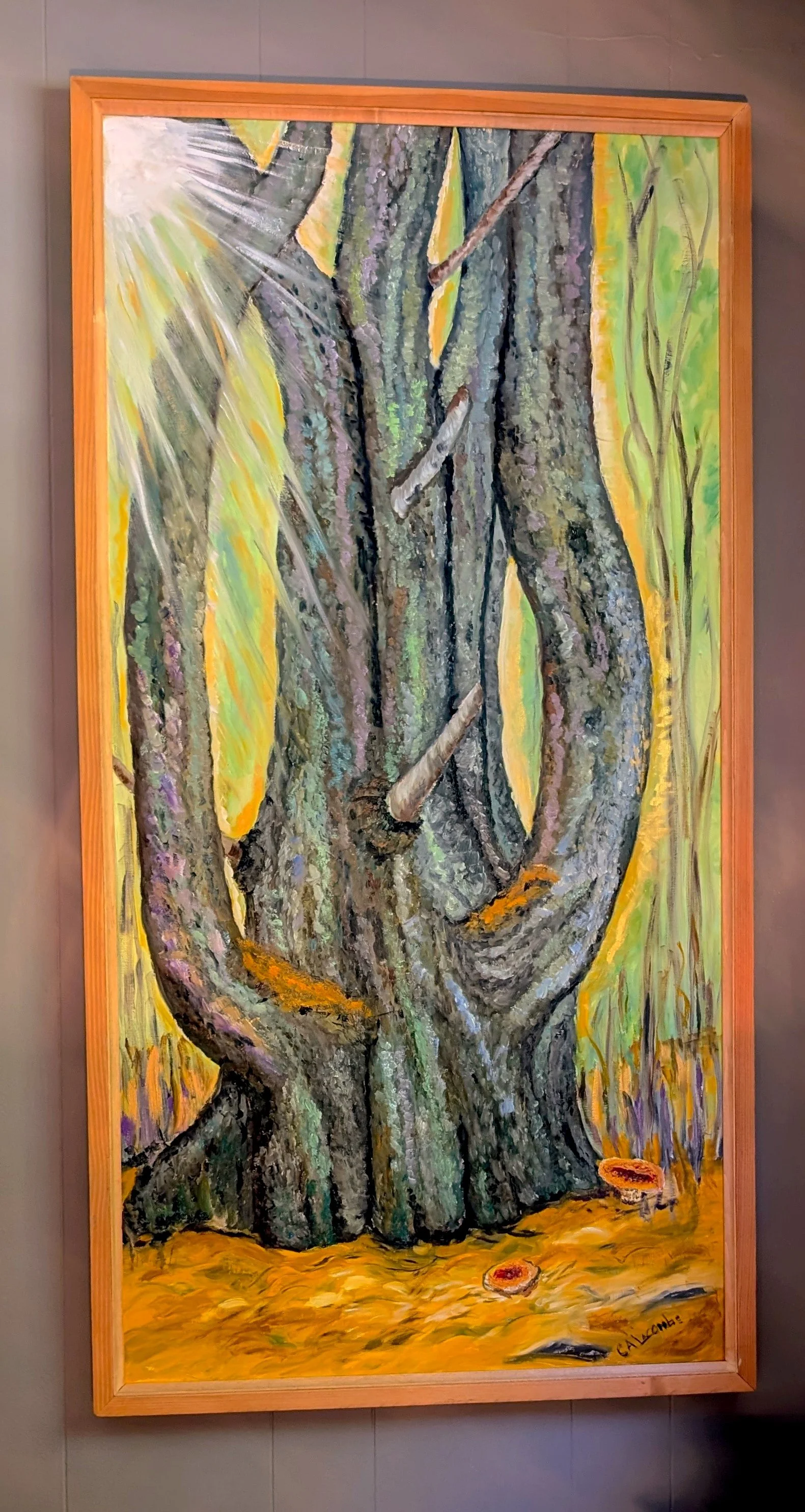 healing tree.jpg