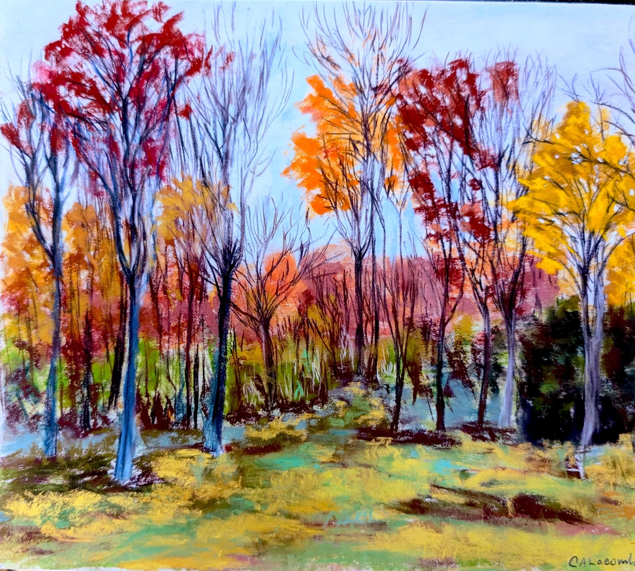 fall trees rt 3 .jpg