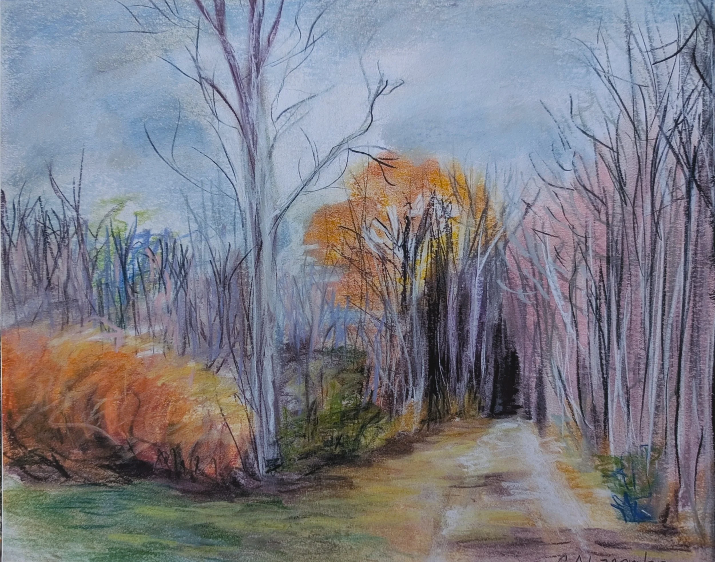 Fall Kennebec River Trail_8.jpg