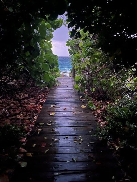 Path to Nature Pool.jpg