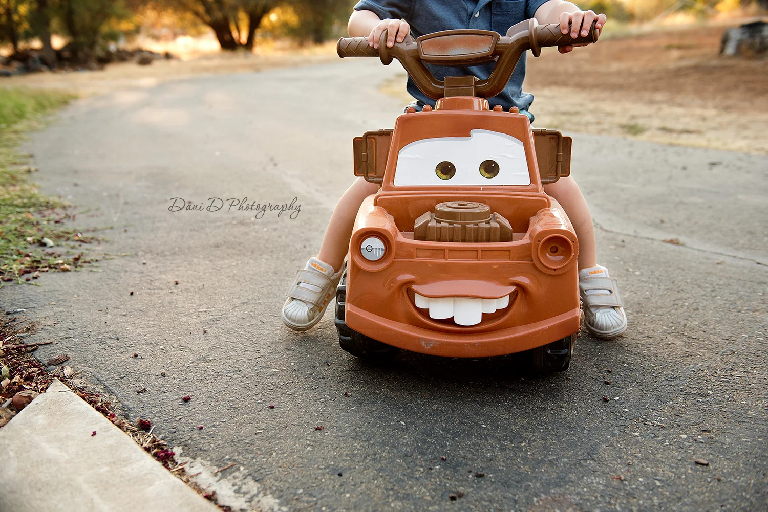 redding shasta county photographer