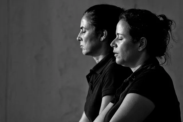 Image by Hernán Piñera , courtesy of Creative Commons licensing.