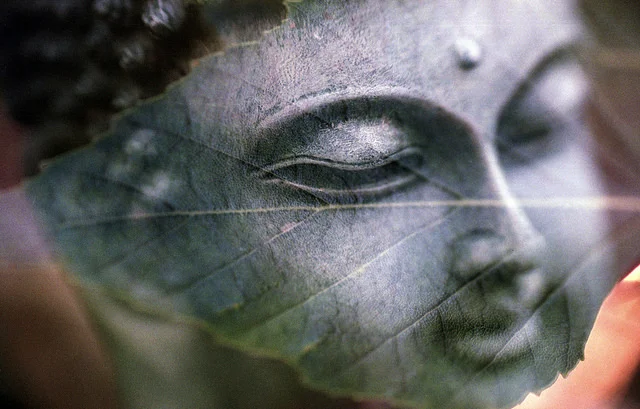 Image by Benjamin Balzázs , courtesy of Creative Commons licensing.