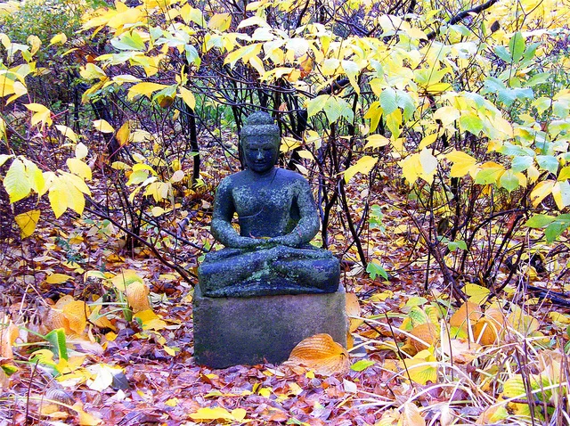 Image by Stanley Zimny , courtesy of Creative Commons licensing.