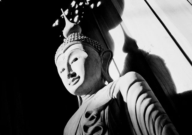 Image by sirmichael , courtesy of Creative Commons licensing.