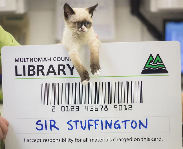 Image by Multnomah County Library , courtesy of Creative Commons licensing.