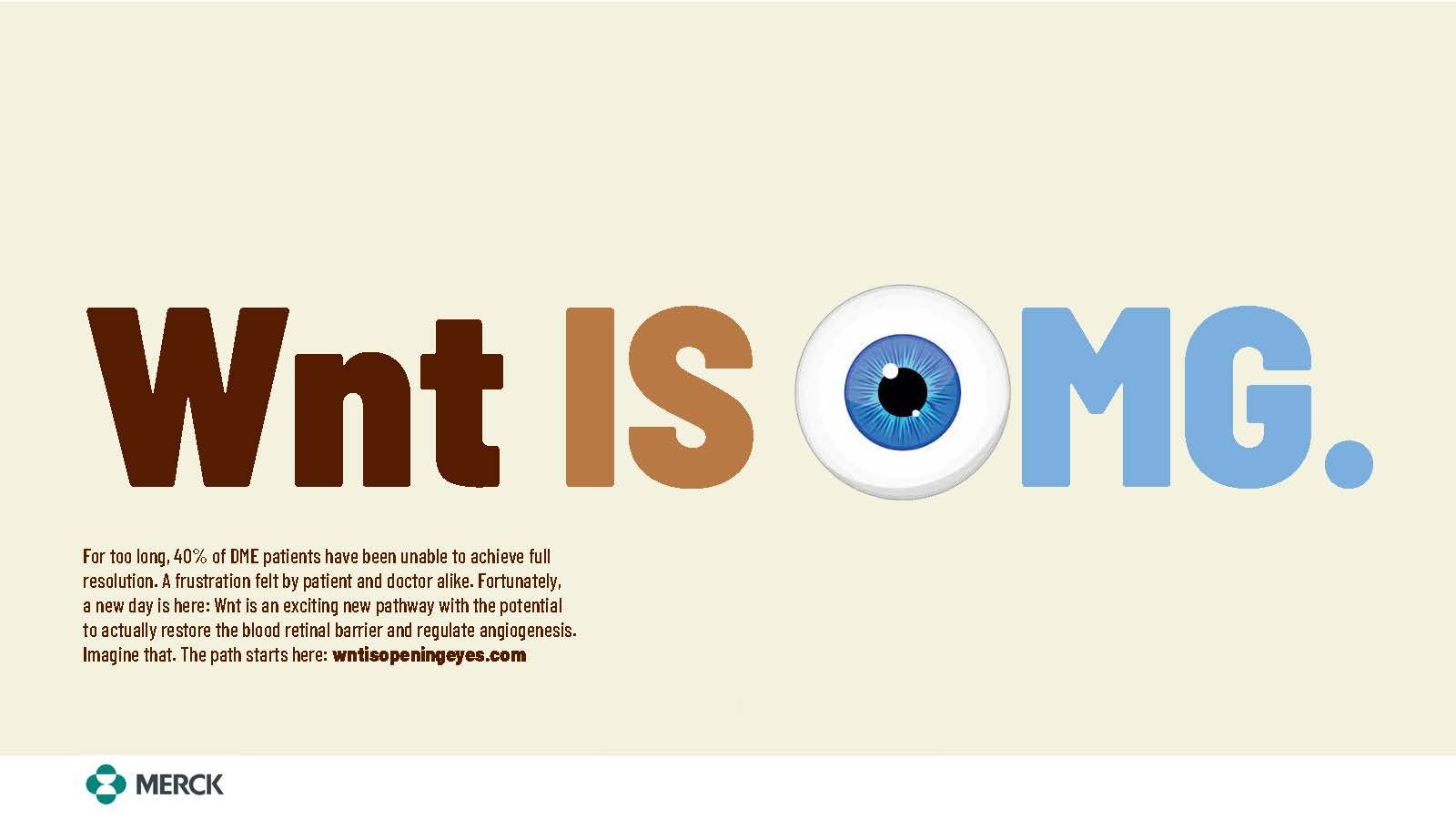 5_7_WNT.forCamilla (1)_Page_3.jpg