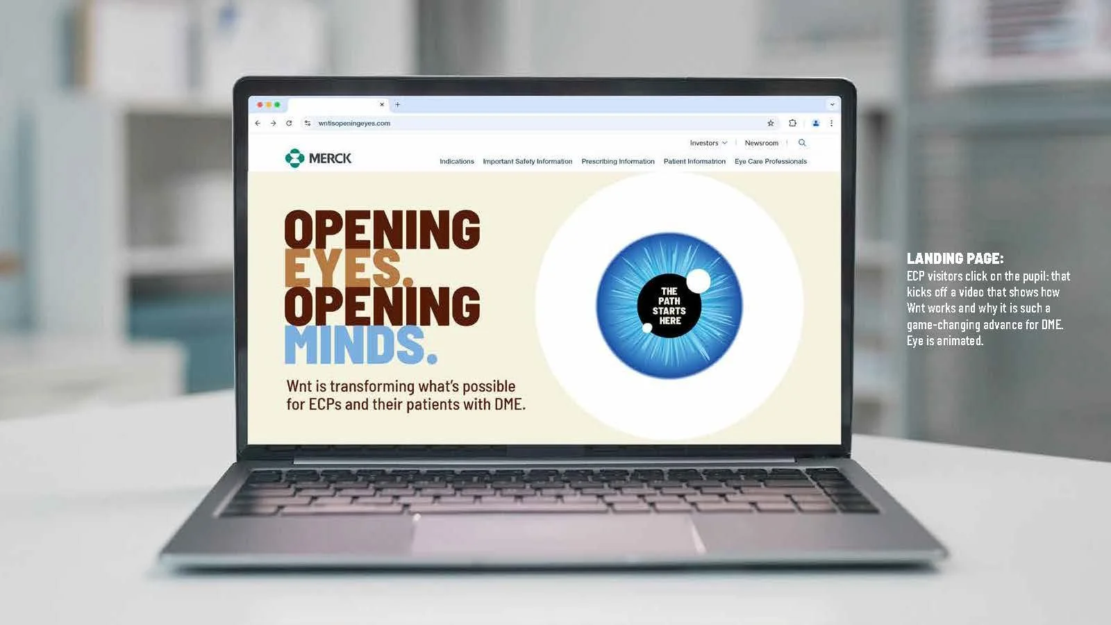 5_7_WNT.forCamilla (1)_Page_7.jpg