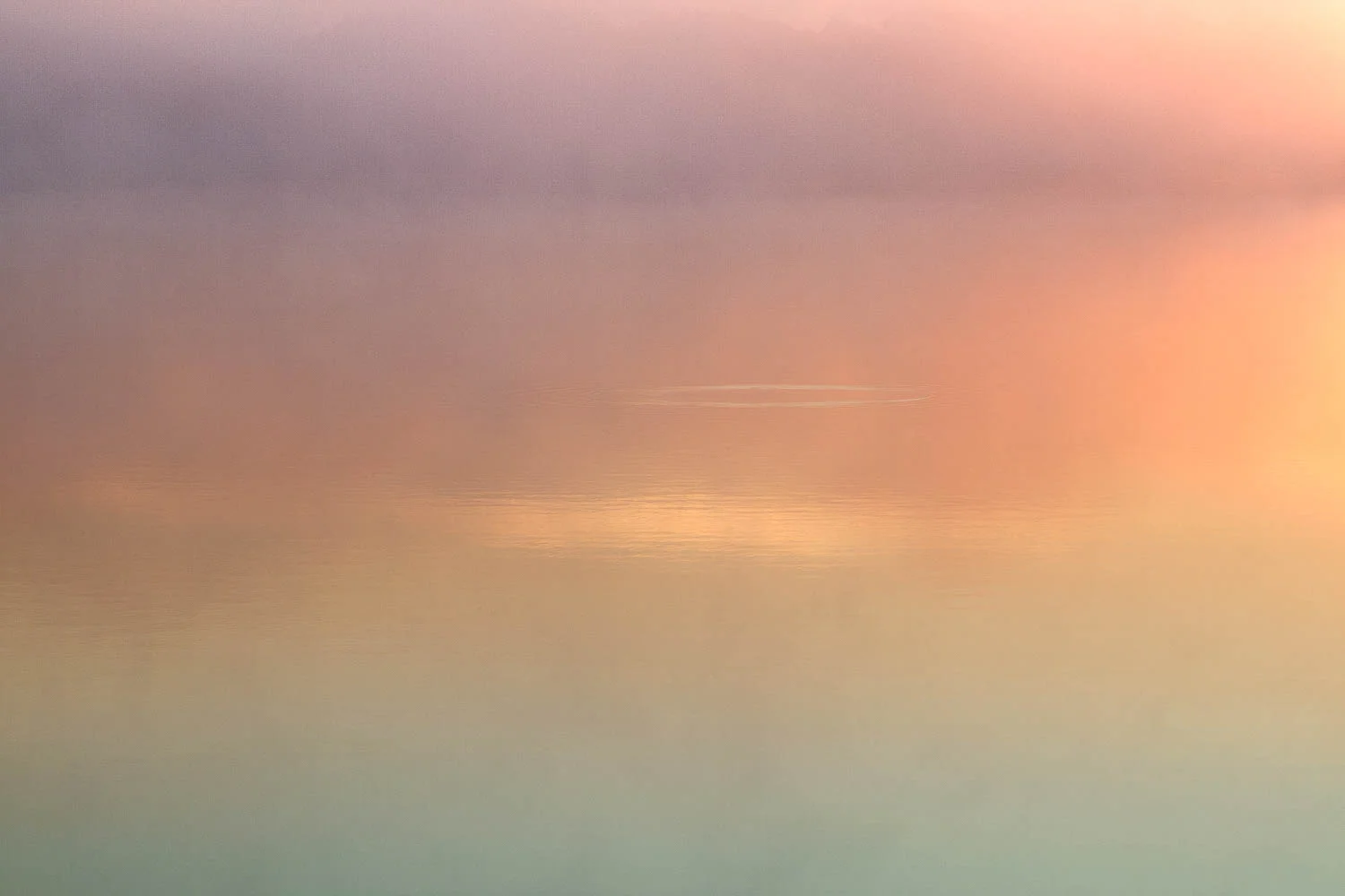 Water_ll-.jpg