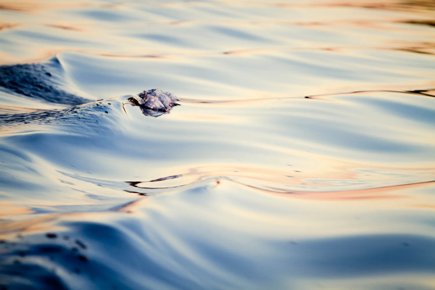 Water_ll-9026.jpg