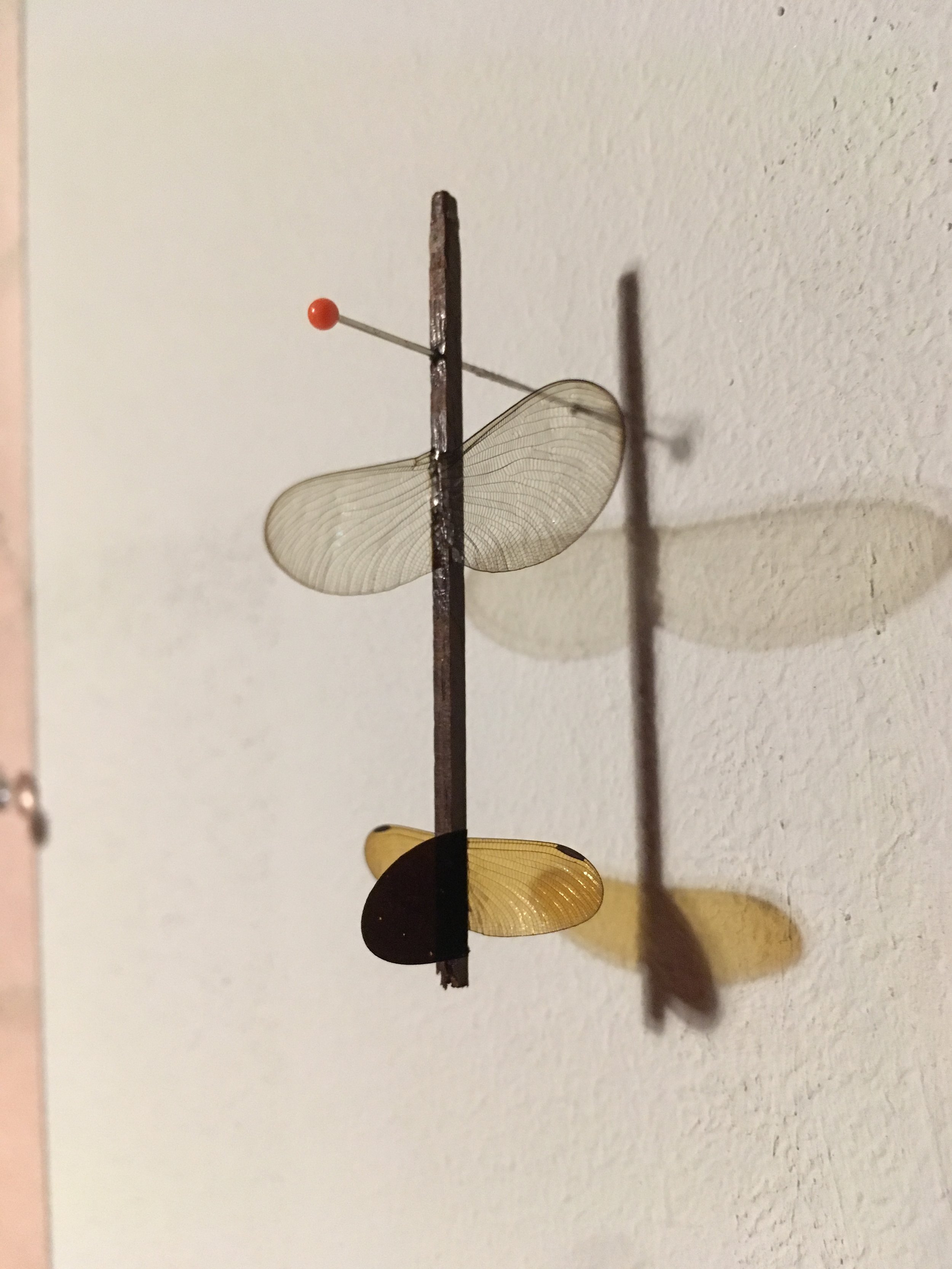 Butterfly:dragonfly wing gliders, 2019, 02.jpg
