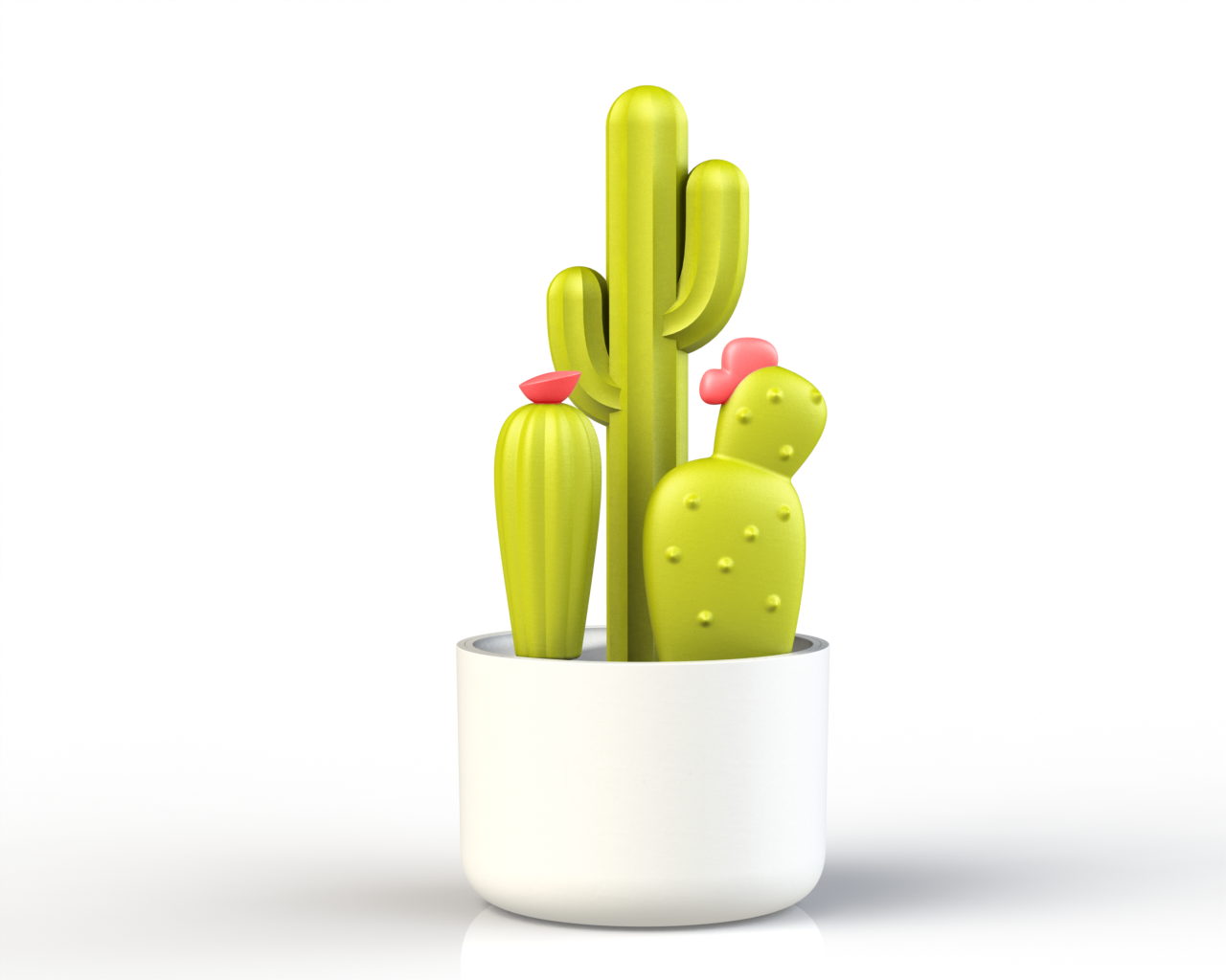Cactus Brushes_04.png