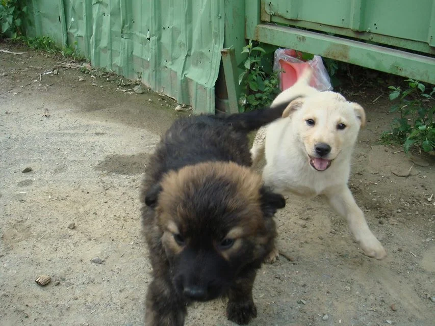 At the site of their rescue