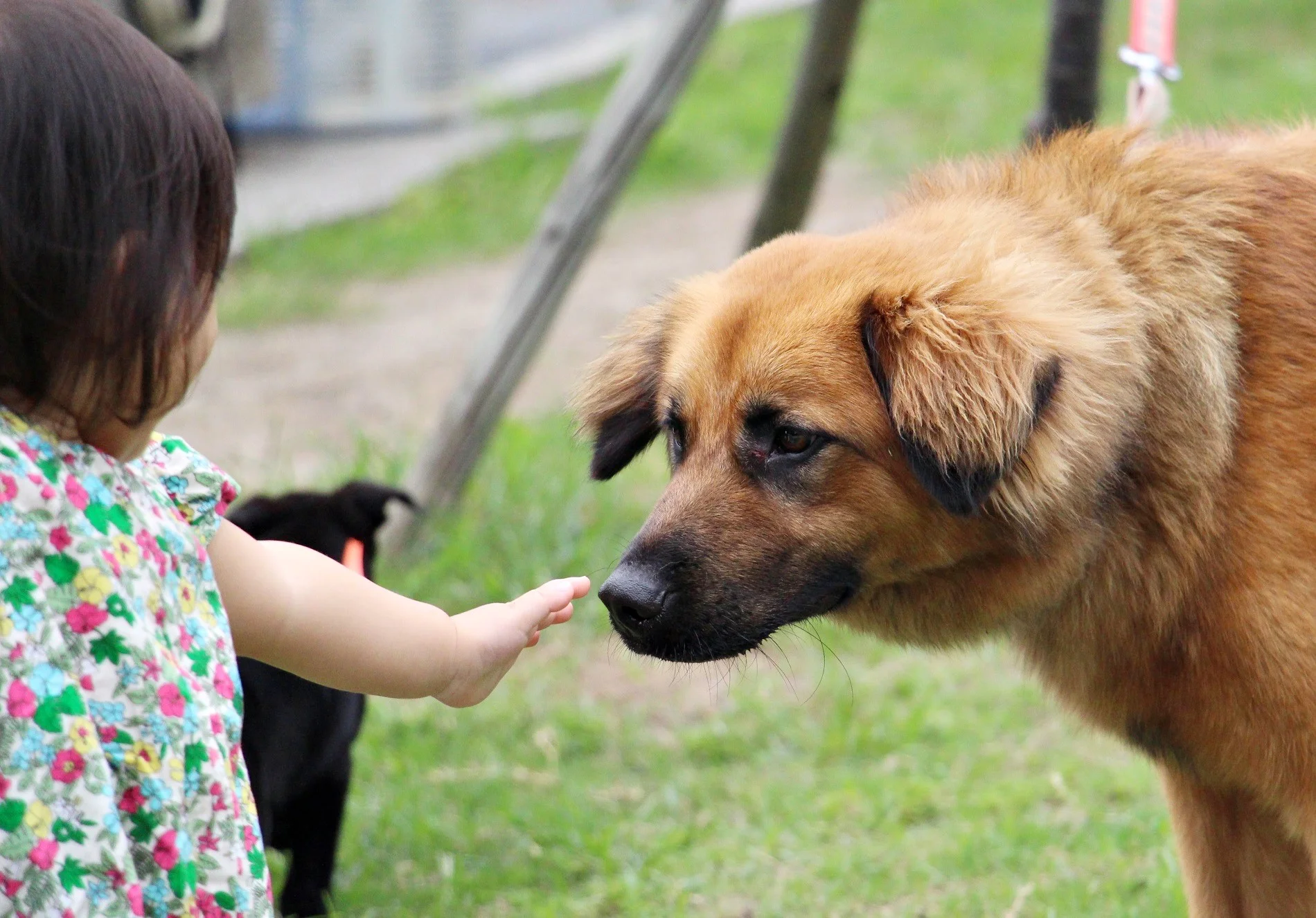 Billy with kid 02.JPG