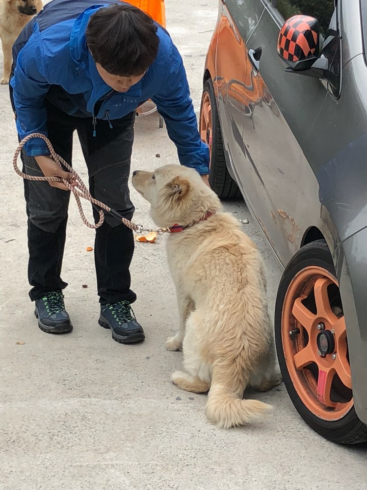 Louis-at rescue2.jpeg