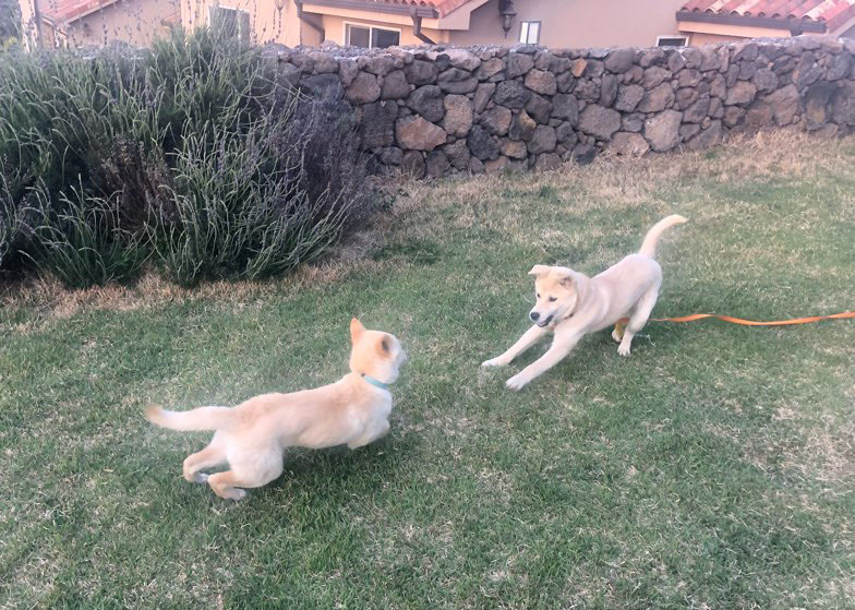 Heidi.playing.jpeg