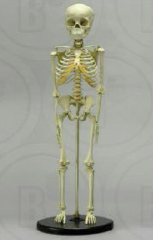 Captura de pantalla 2016-11-14 a las 5.40.55 p.m..png