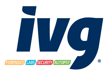 IVG Comercializadora