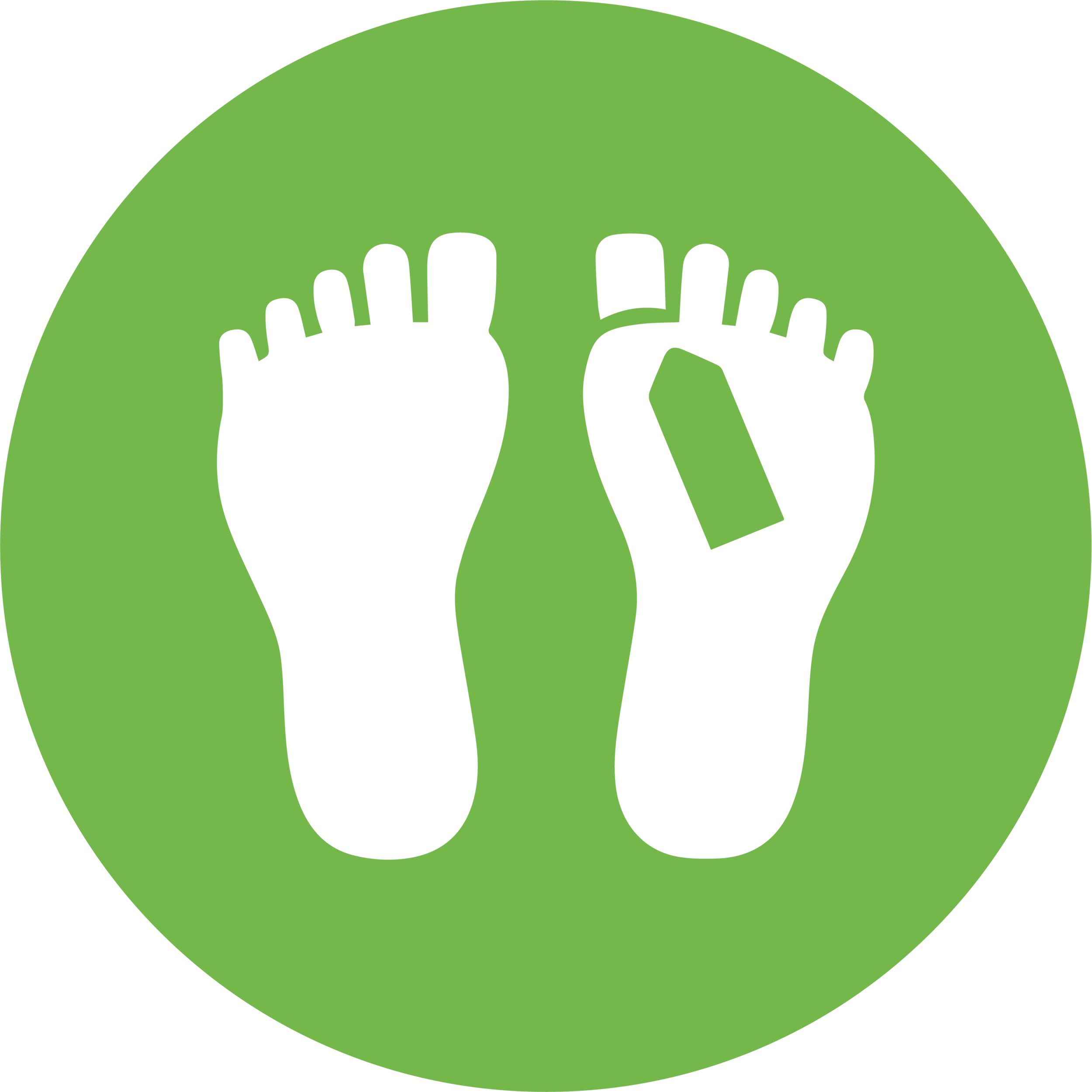 iconos IVG-05.png