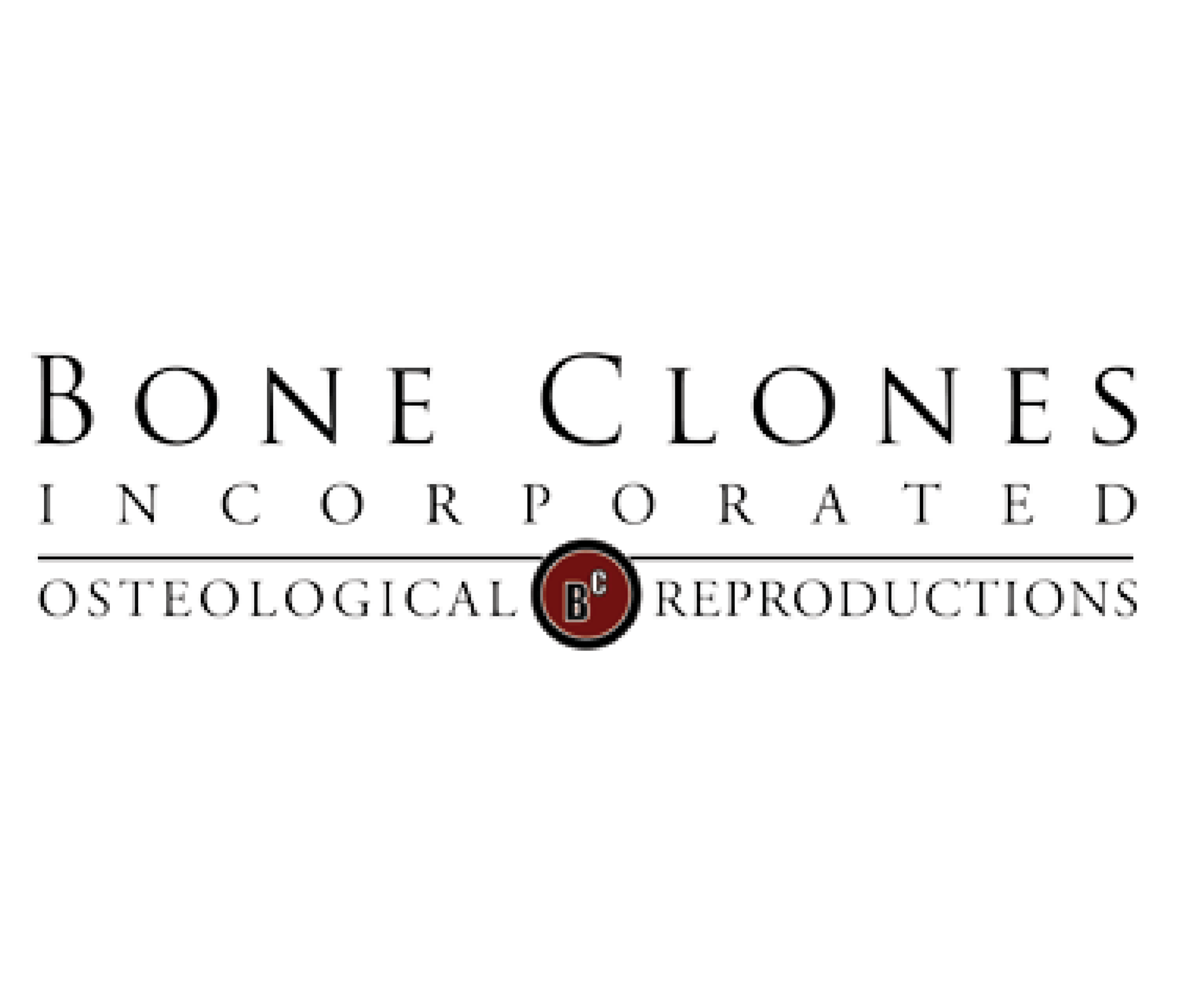 Bone clone